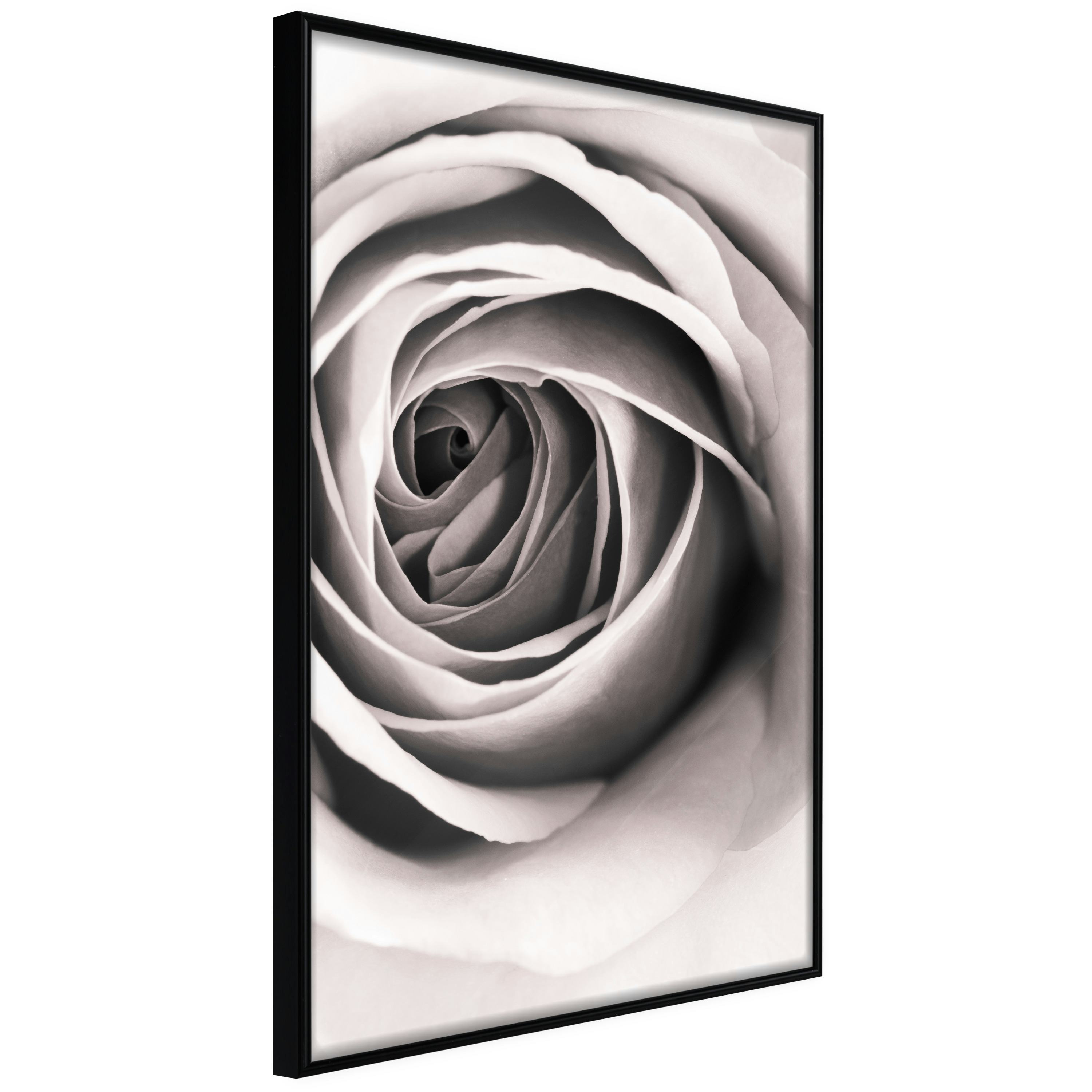 Poster Artgeist Affisch Rose Vortex
