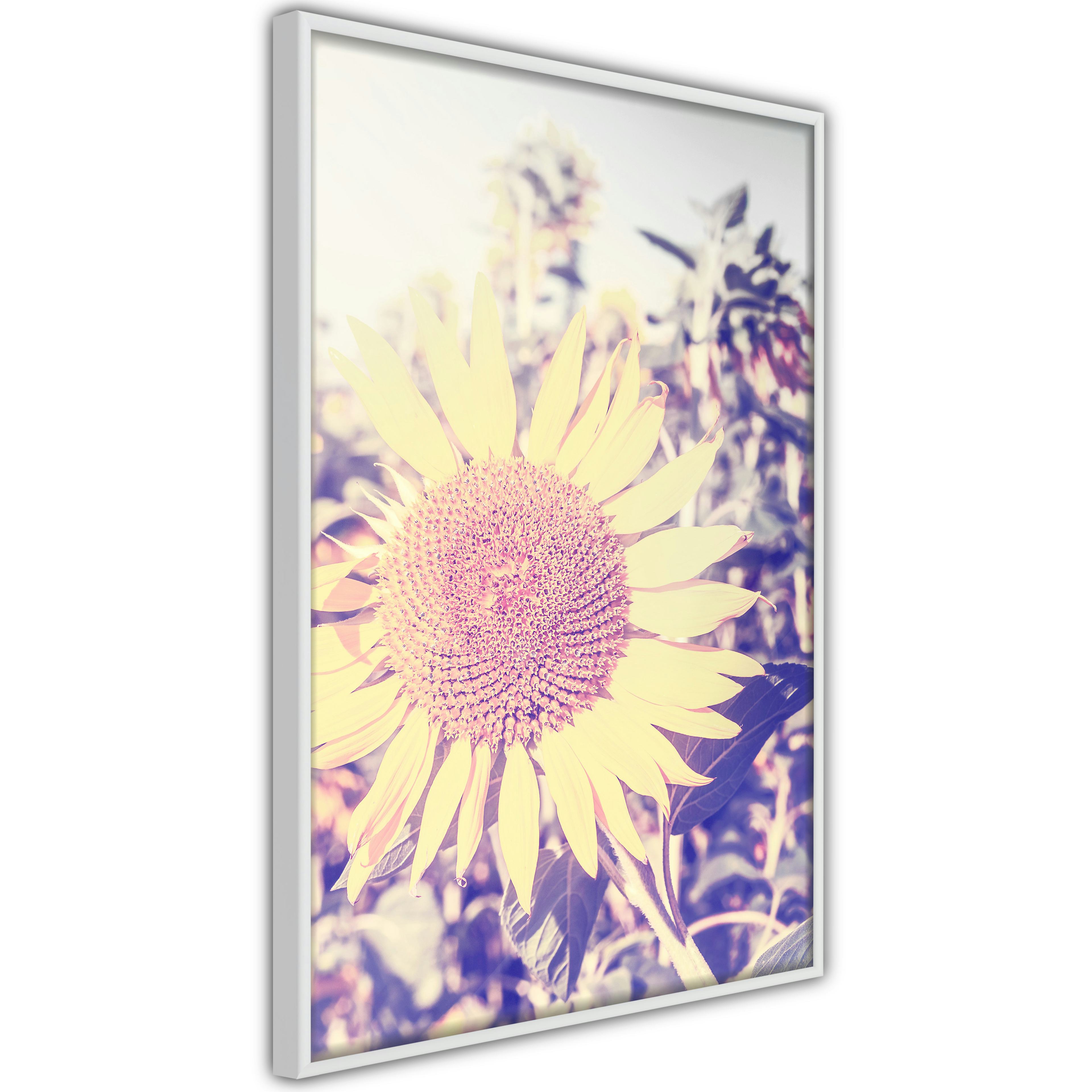 Poster Artgeist Affisch Sunflower