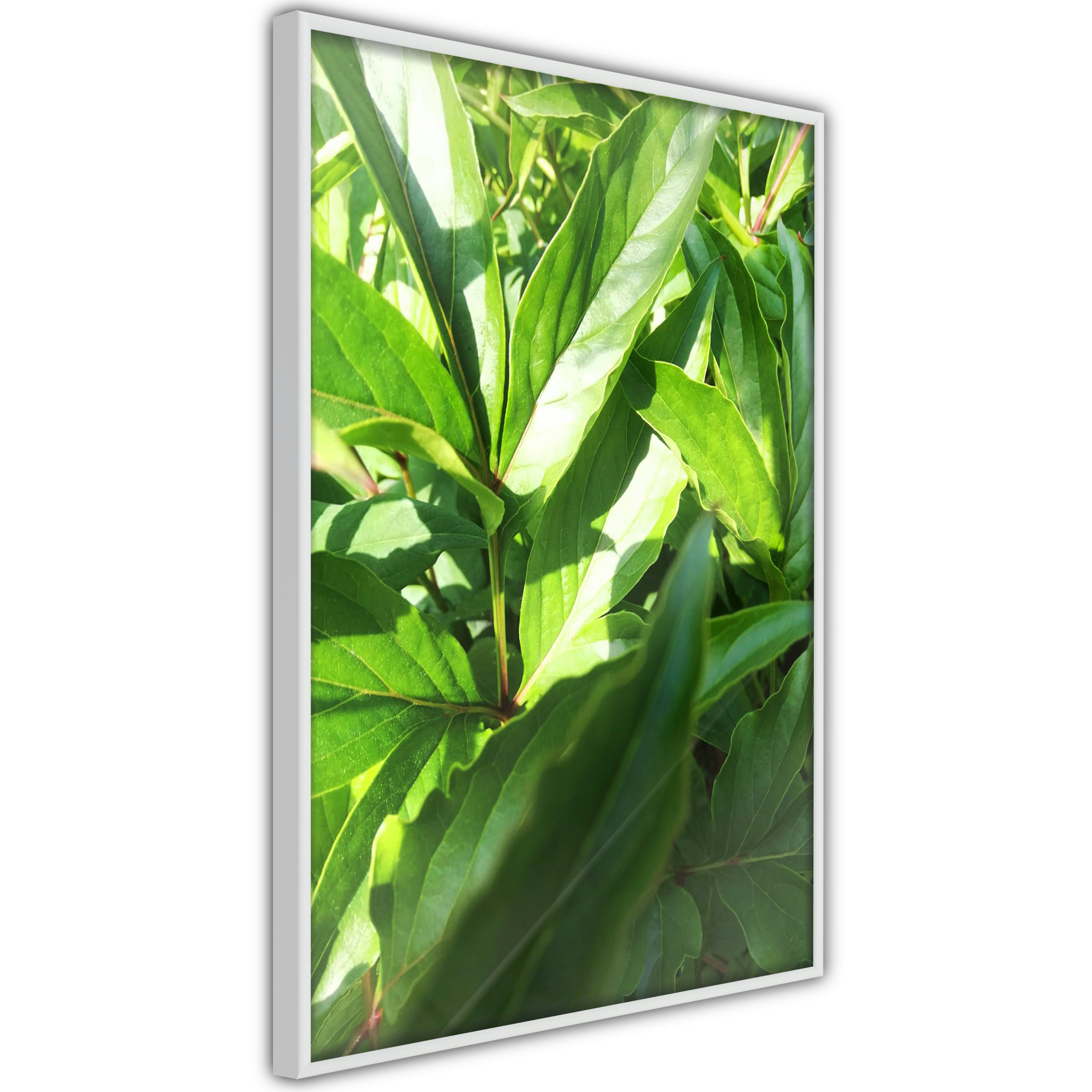 Poster Artgeist Affisch Summer Afternoon