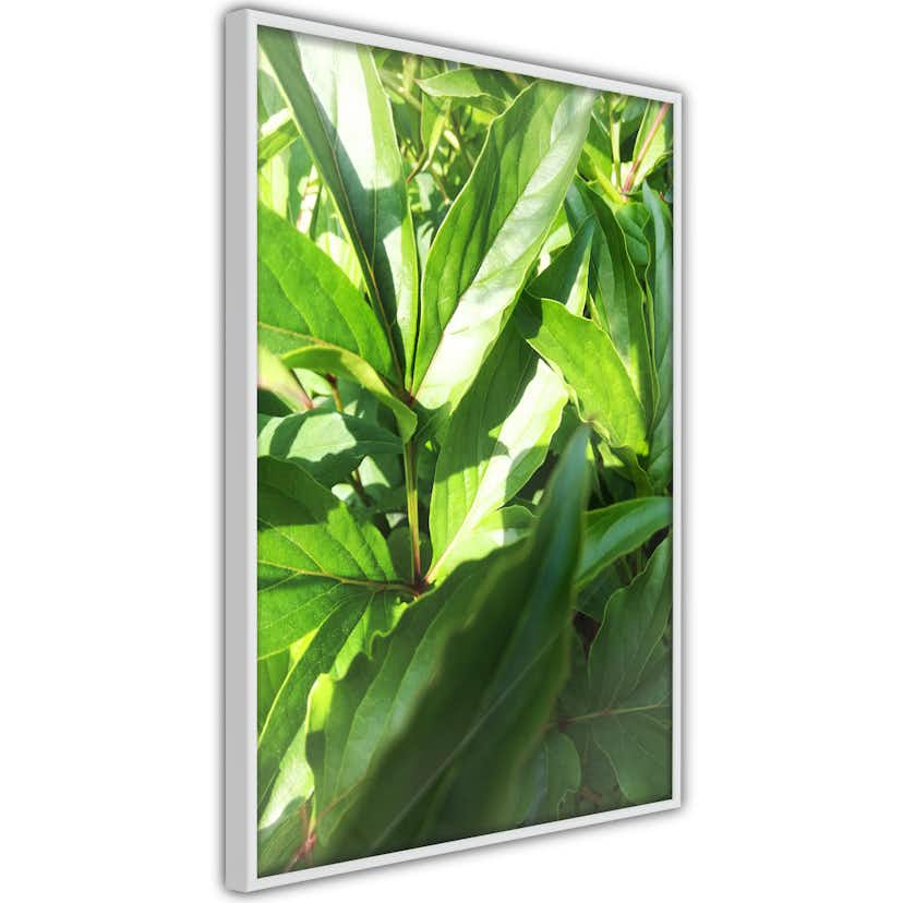 Poster Artgeist Affisch Summer Afternoon