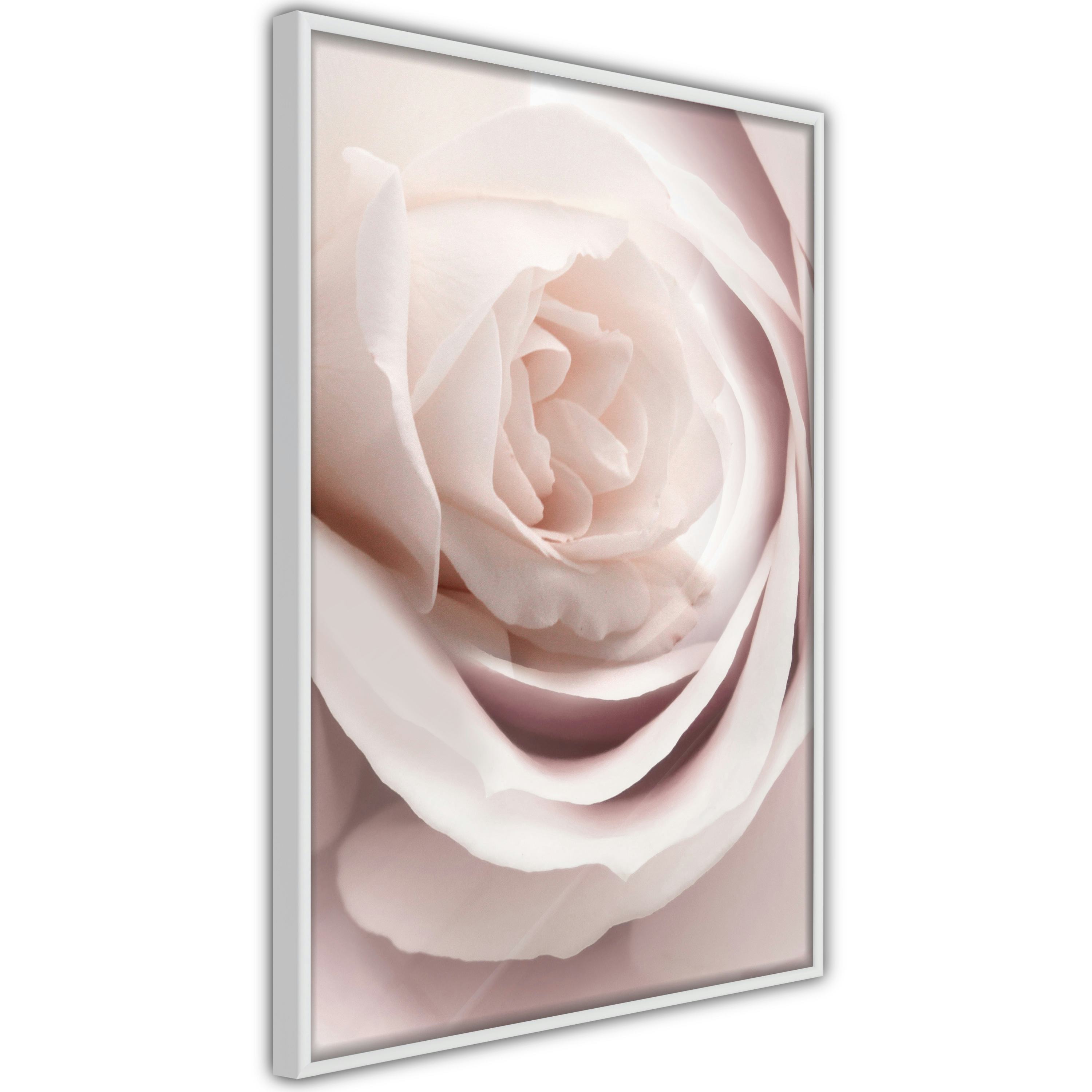Poster Artgeist Affisch Porcelain Rose