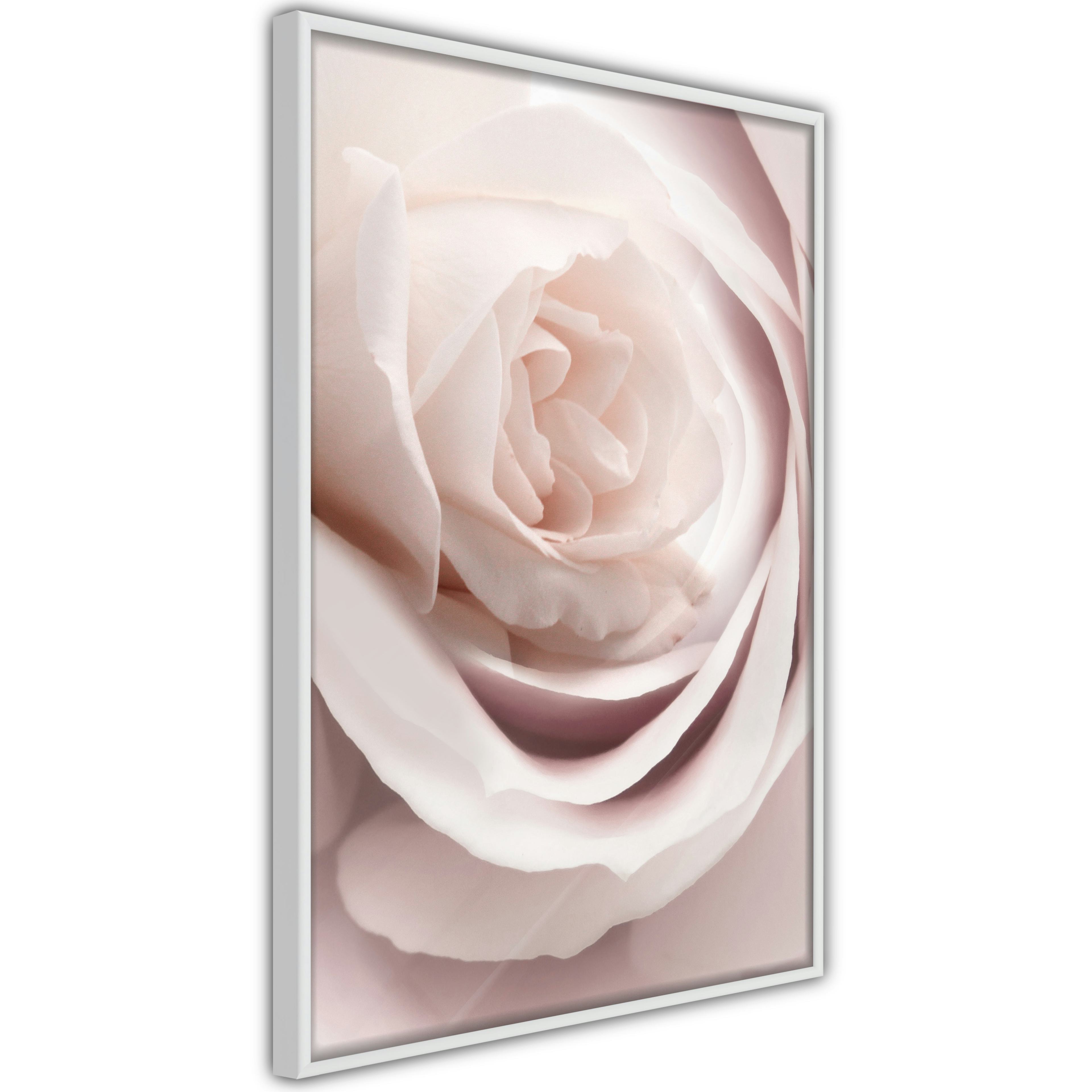 Poster Artgeist Affisch Porcelain Rose