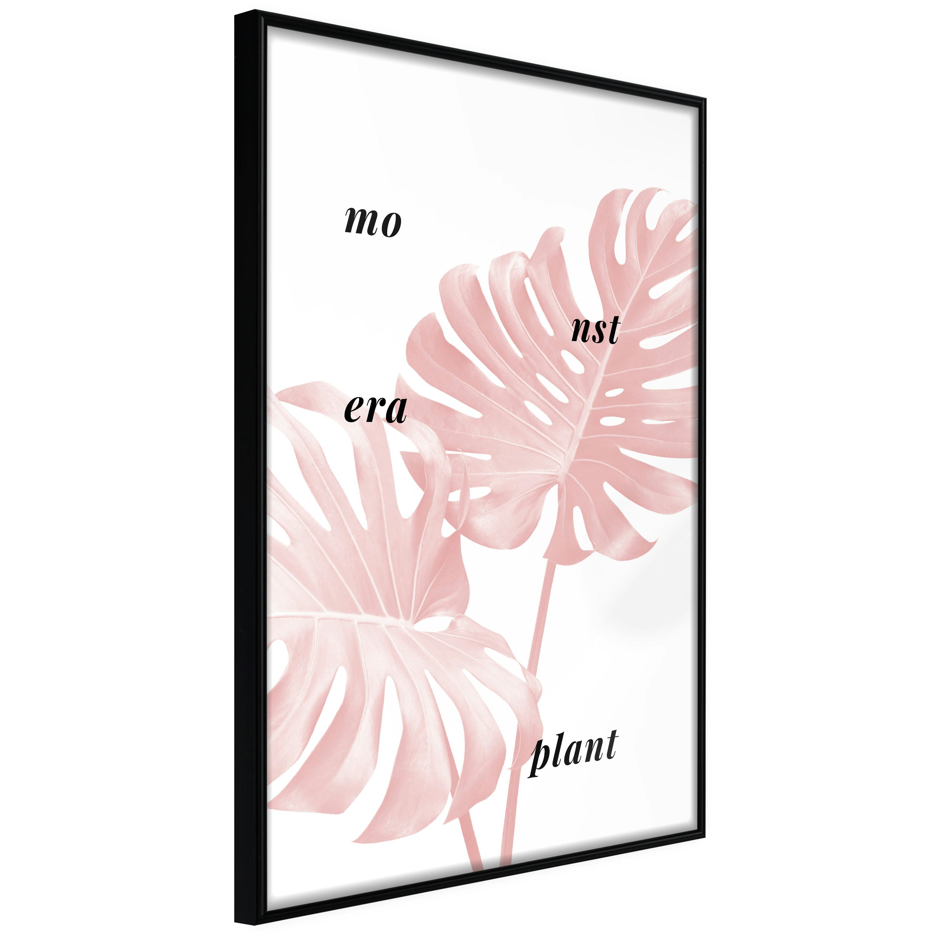 Poster Artgeist Affisch Monstera Plant