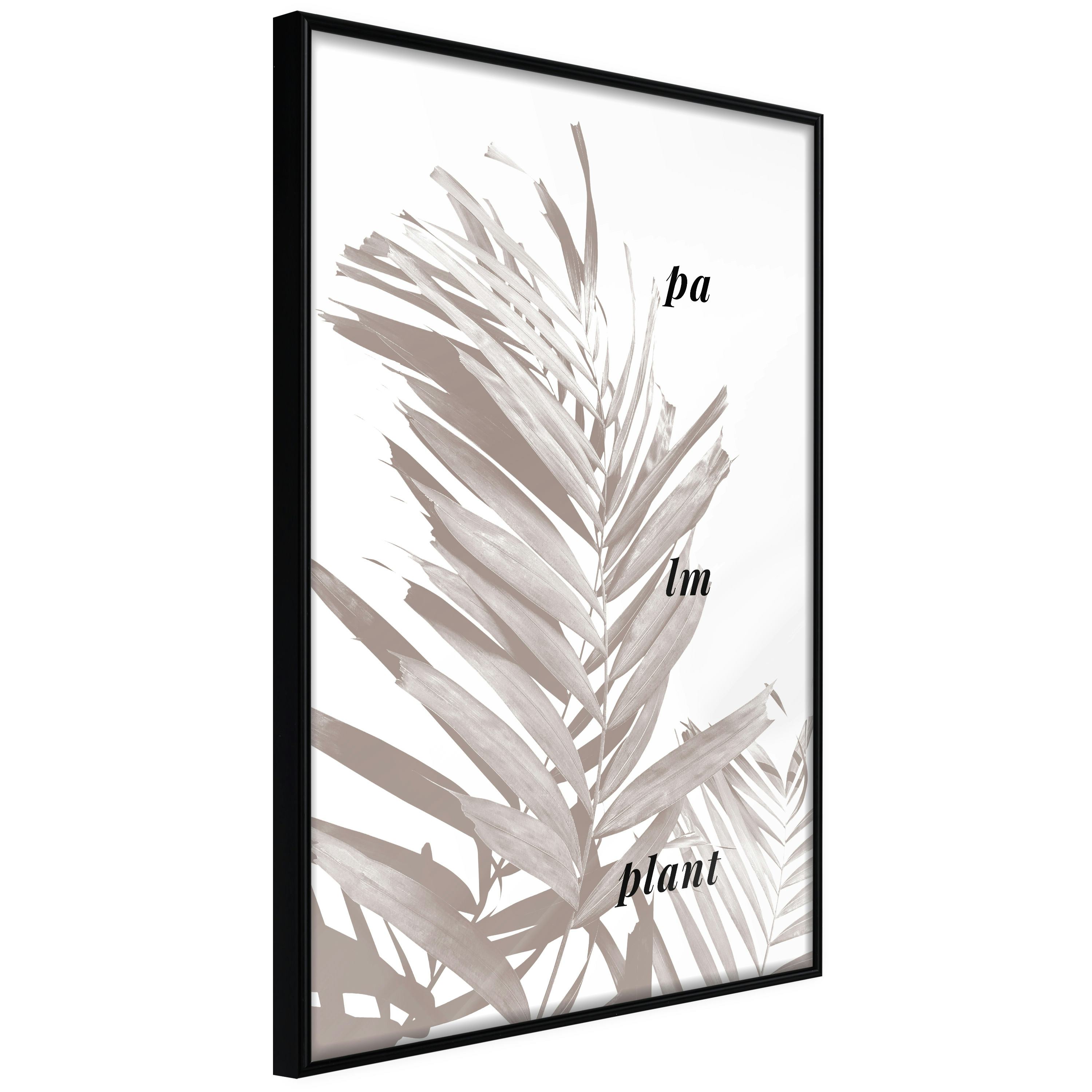 Poster Artgeist Affisch Palm Plant