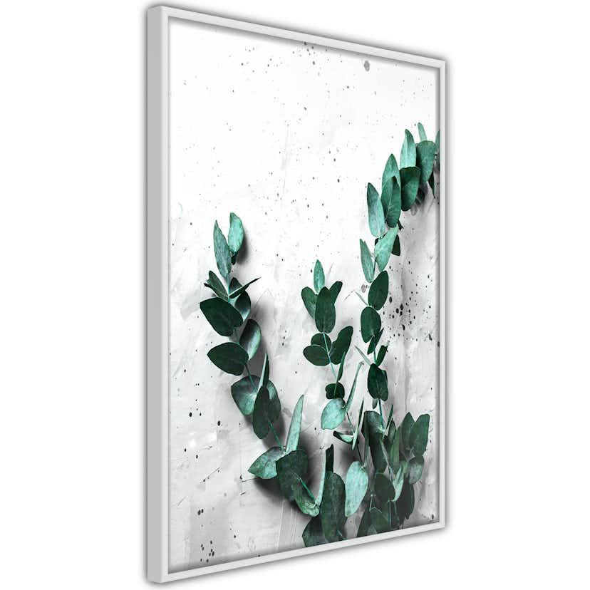 Poster Artgeist Affisch Eucalyptus Scent