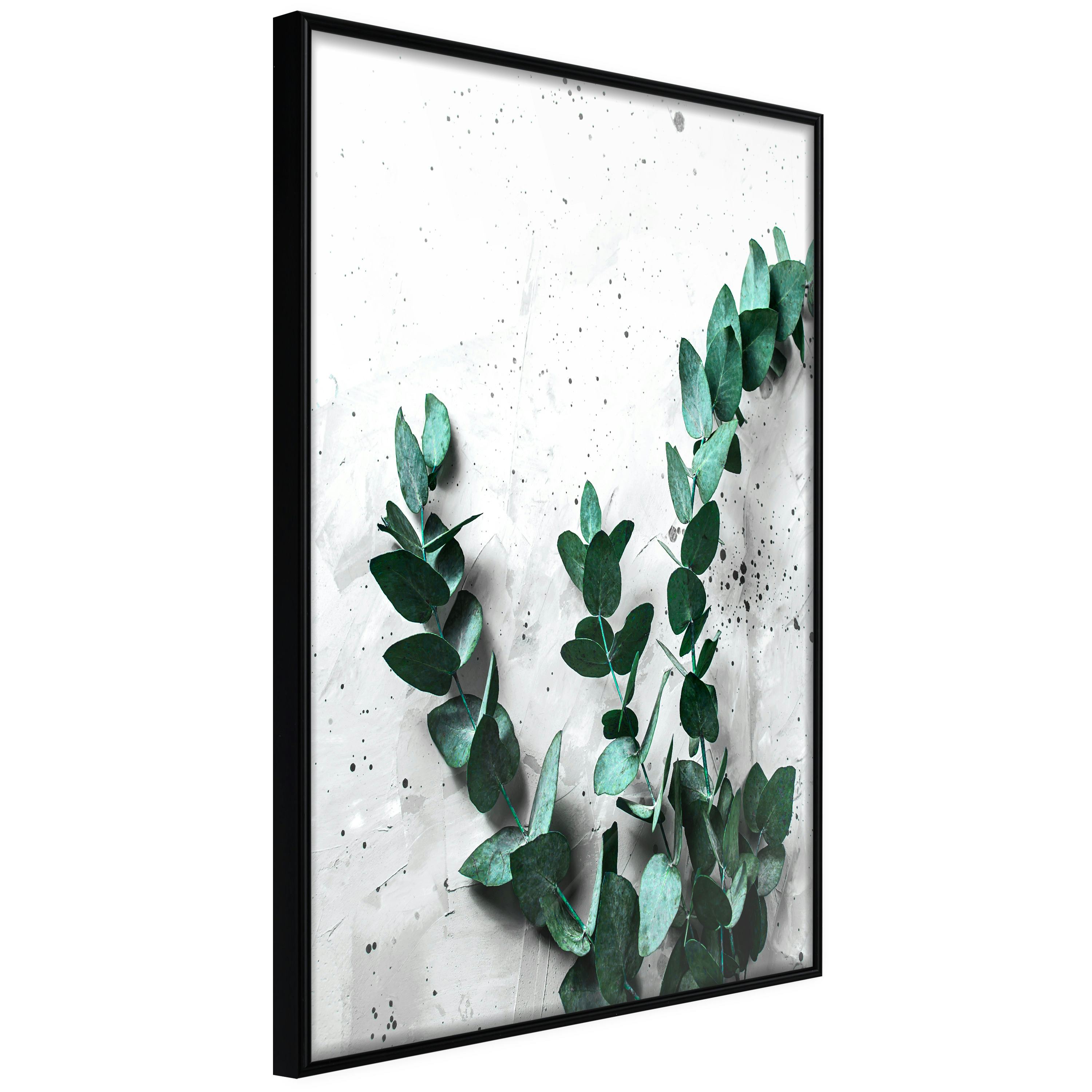 Poster Artgeist Affisch Eucalyptus Scent