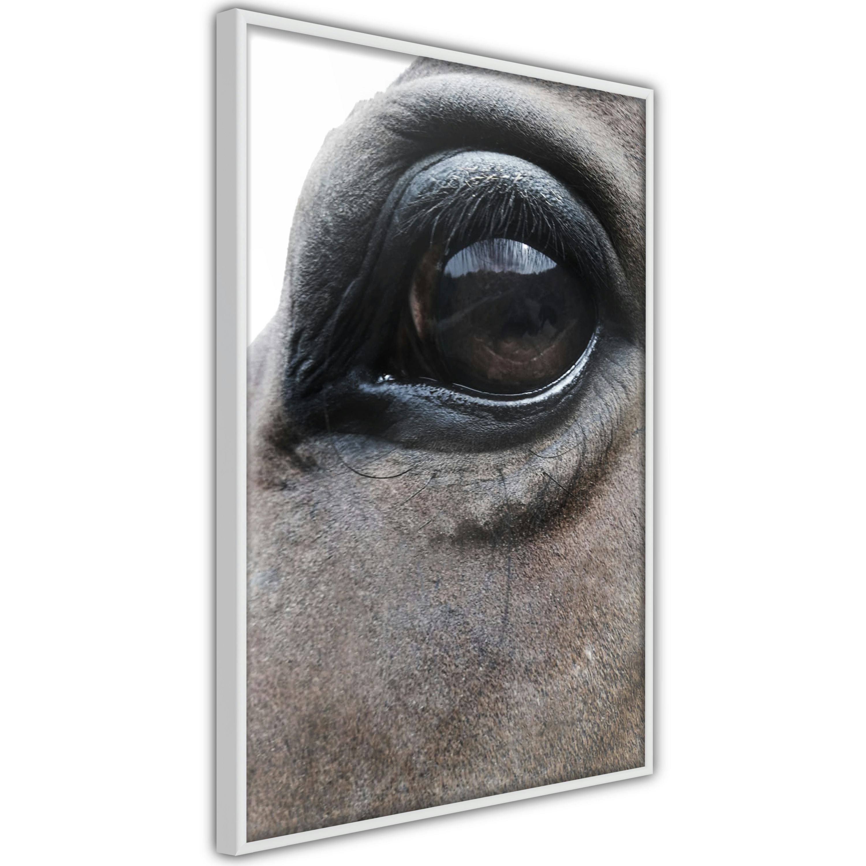 Poster Artgeist Affisch Honest Eyes