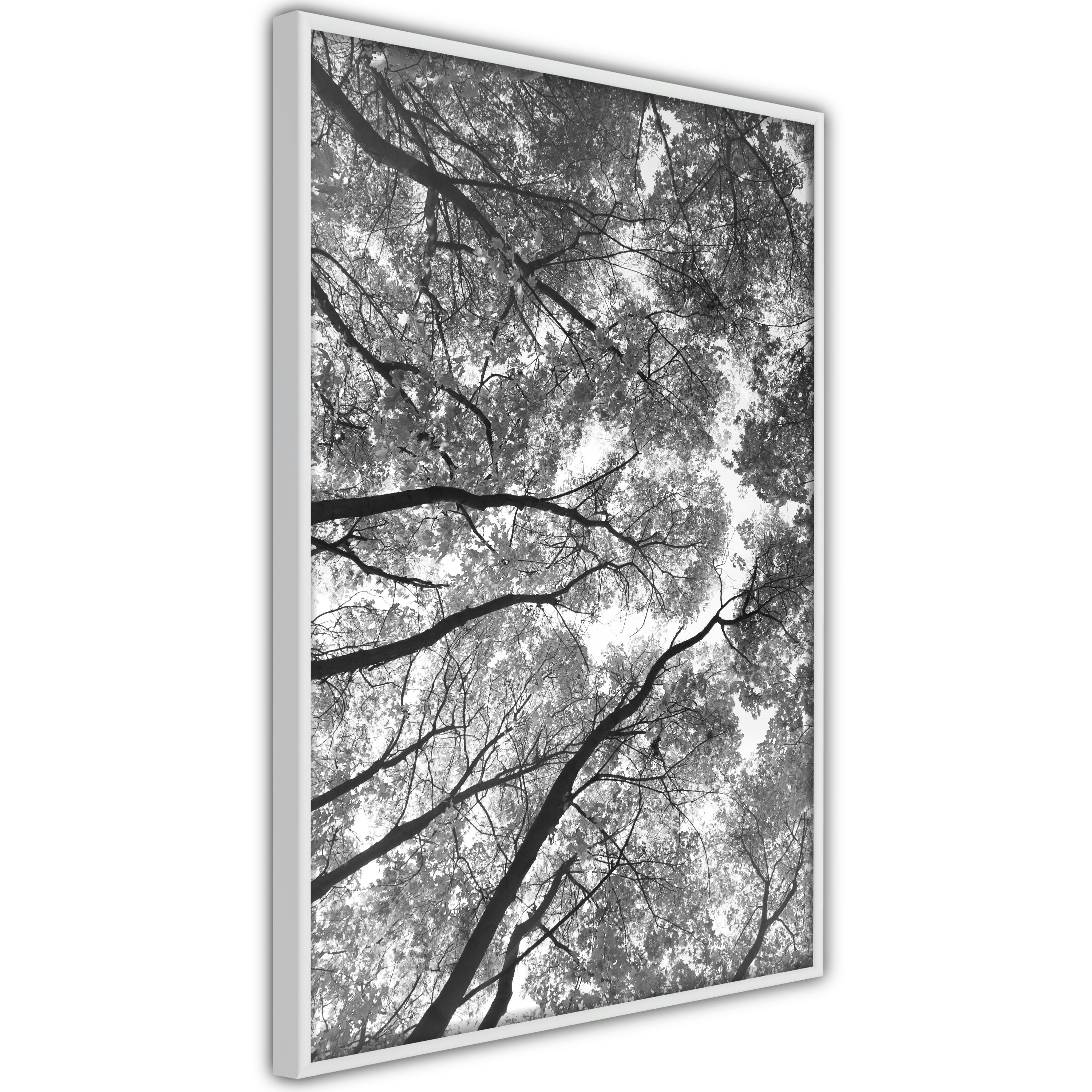 Poster Artgeist Affisch High Trees