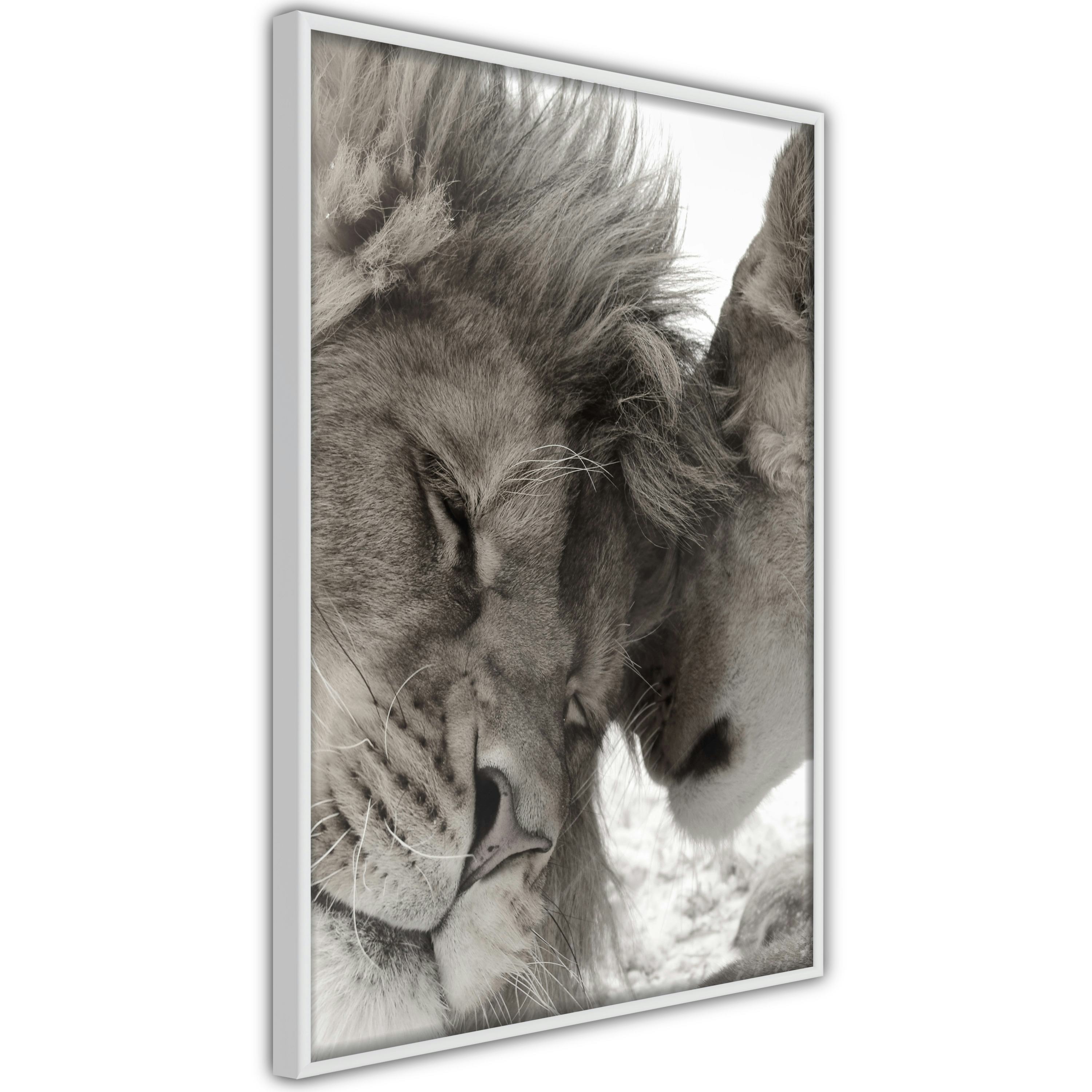 Poster Artgeist Affisch Whispering Dreams