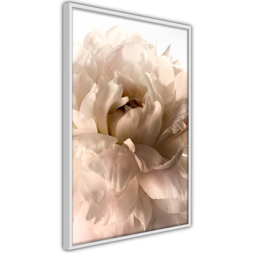 Poster Artgeist Affisch Soft Petals