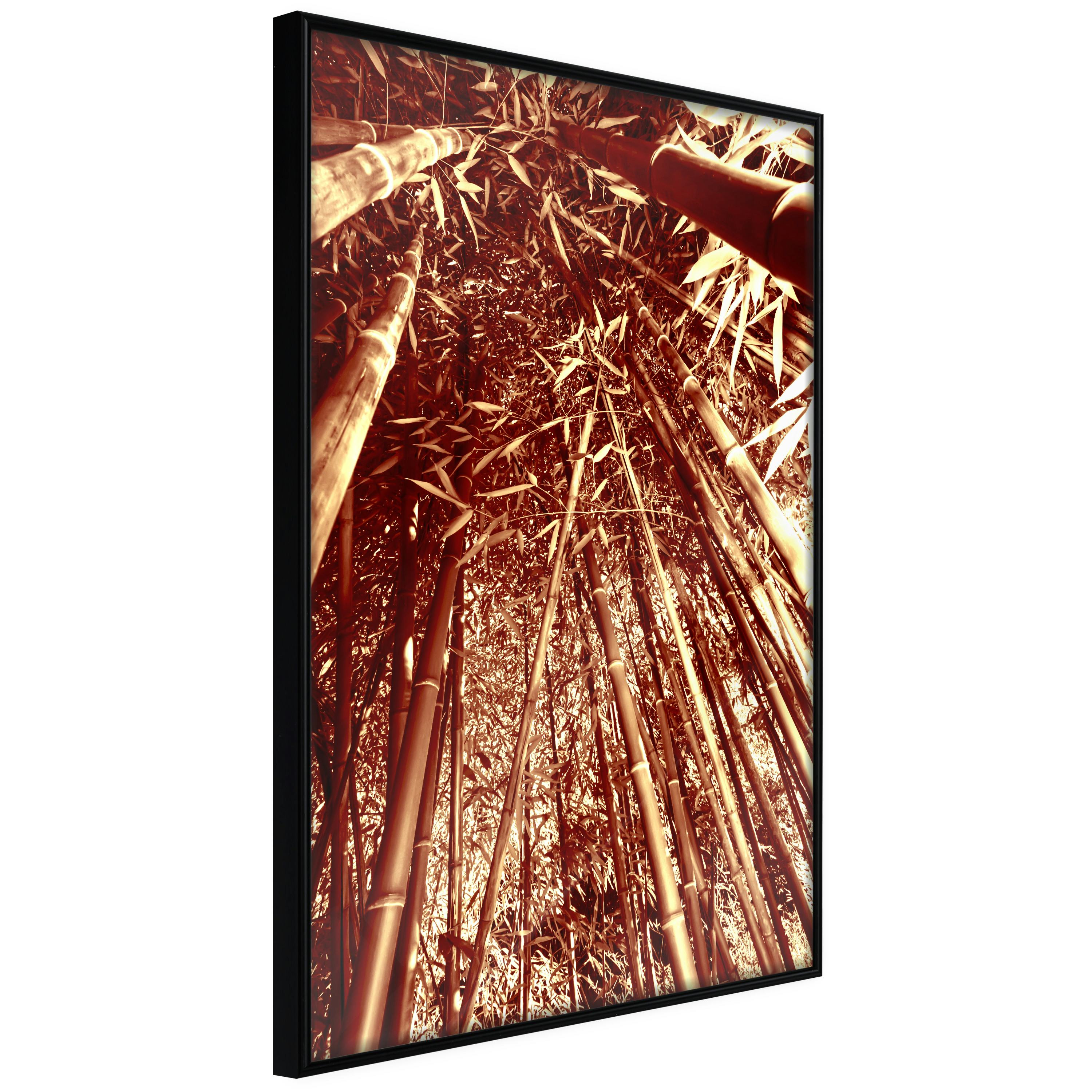 Poster Artgeist Affisch Tall Bamboos