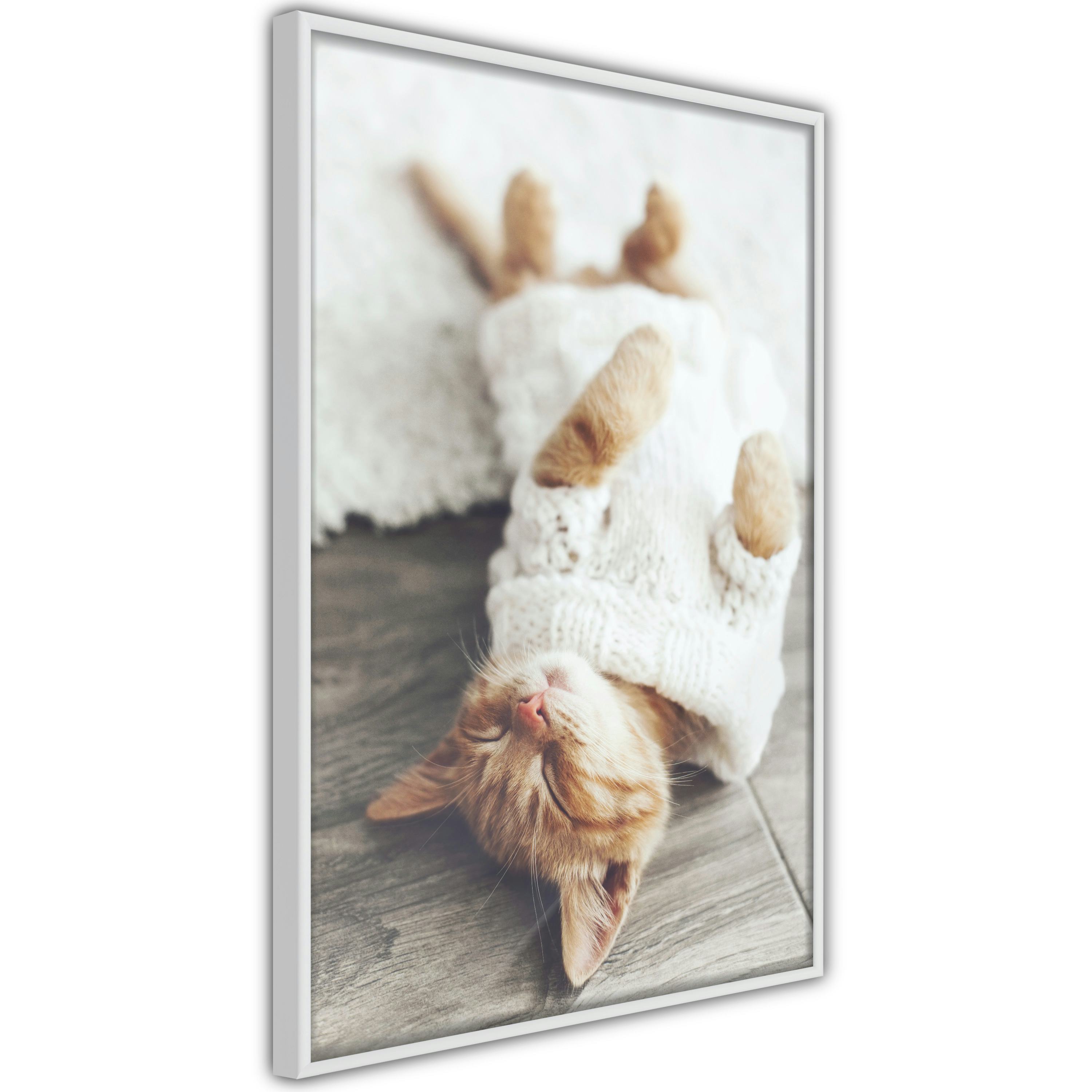 Poster Artgeist Affisch Lazy Cat