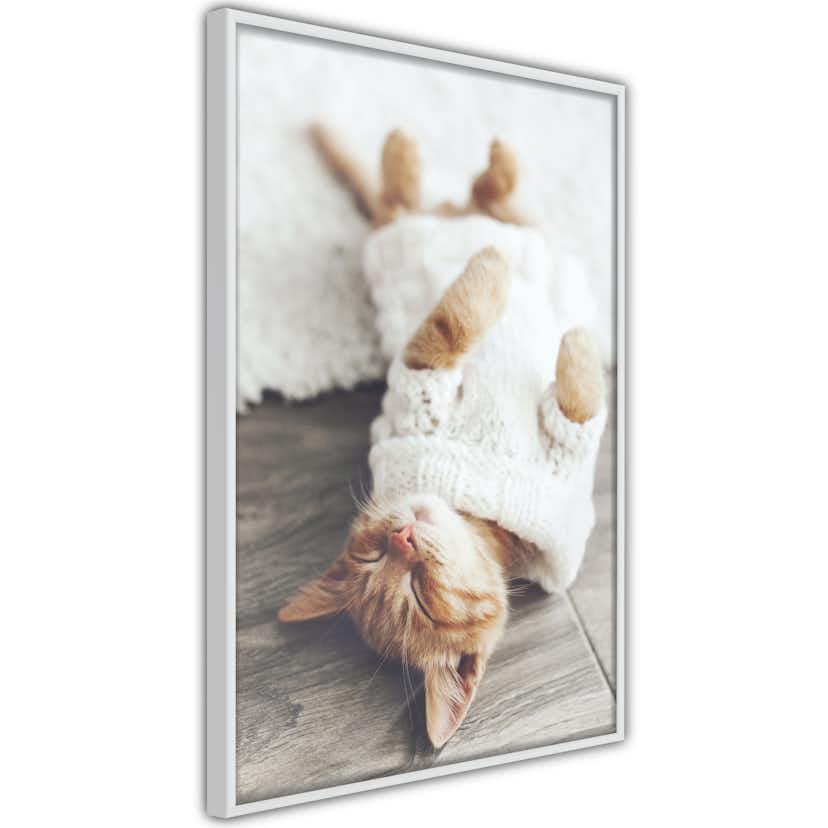 Poster Artgeist Affisch Lazy Cat