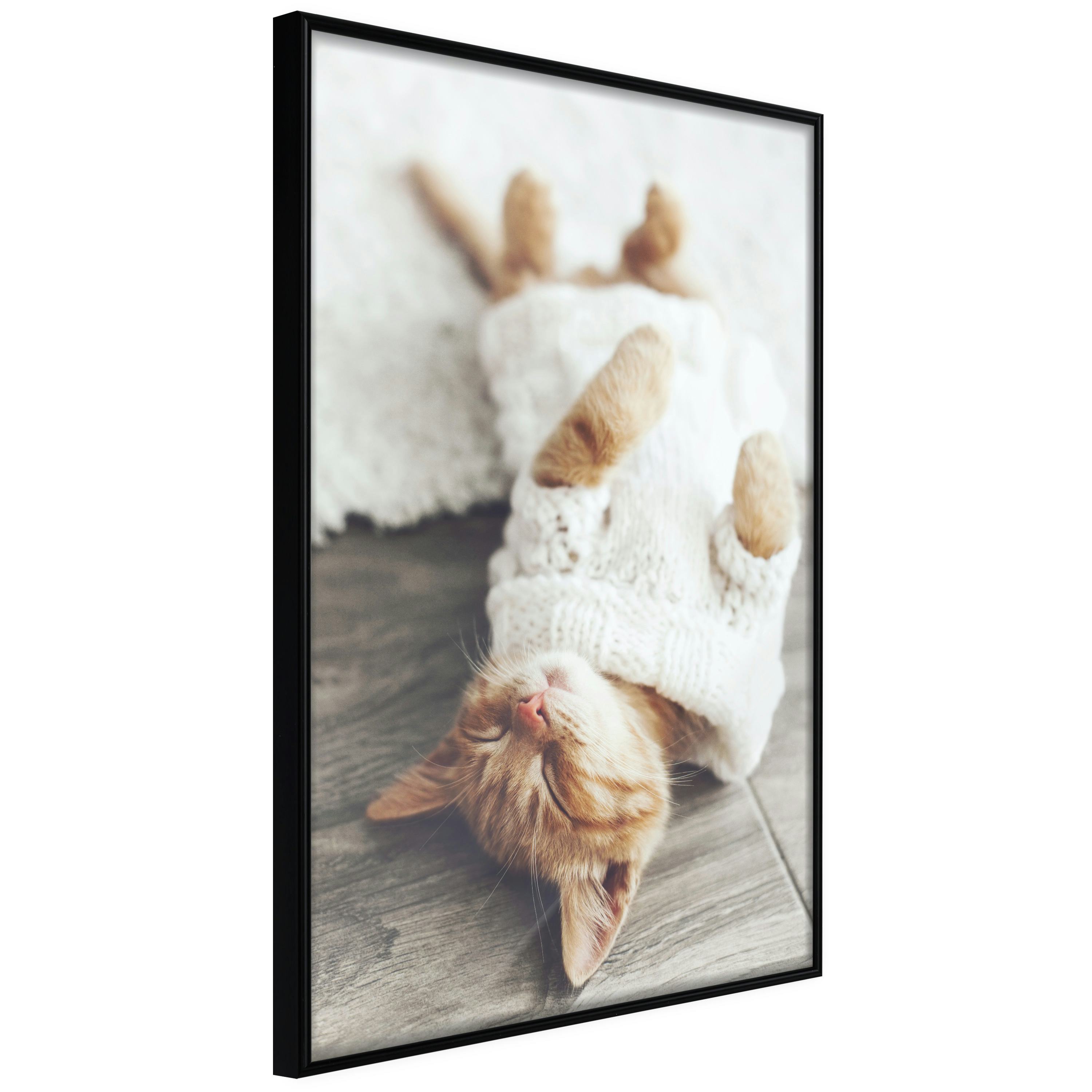 Poster Artgeist Affisch Lazy Cat