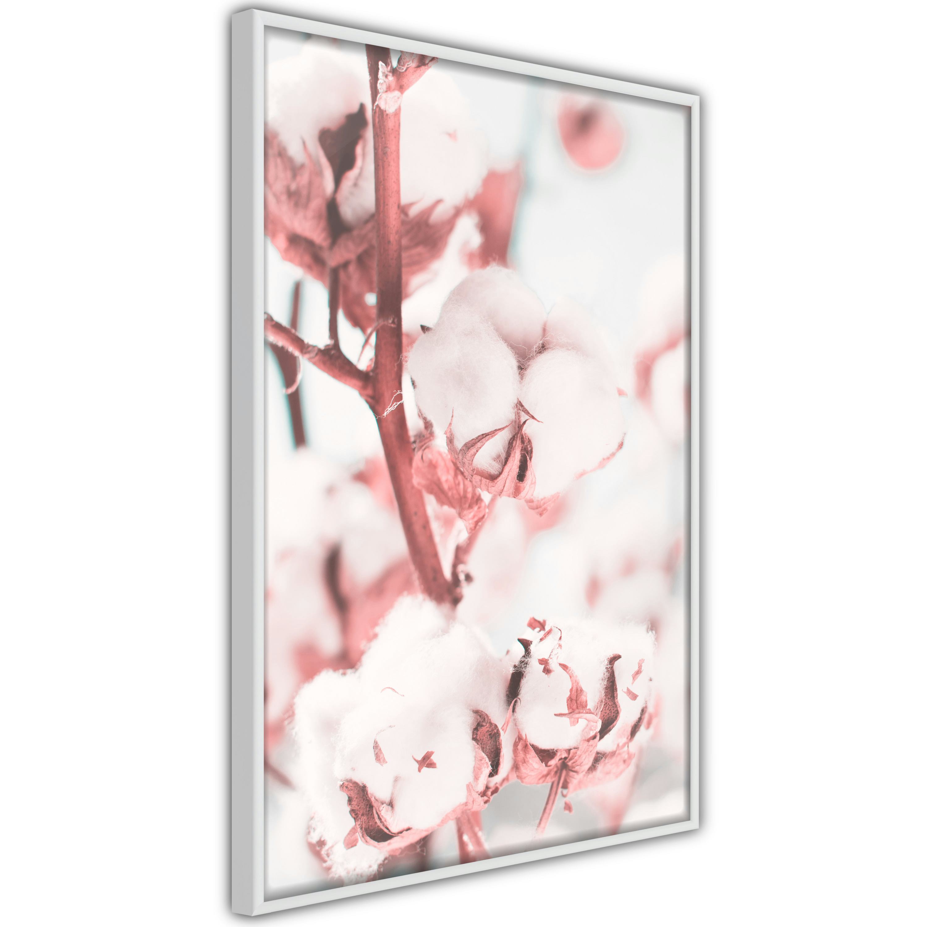 Poster Artgeist Affisch Blooming Cotton