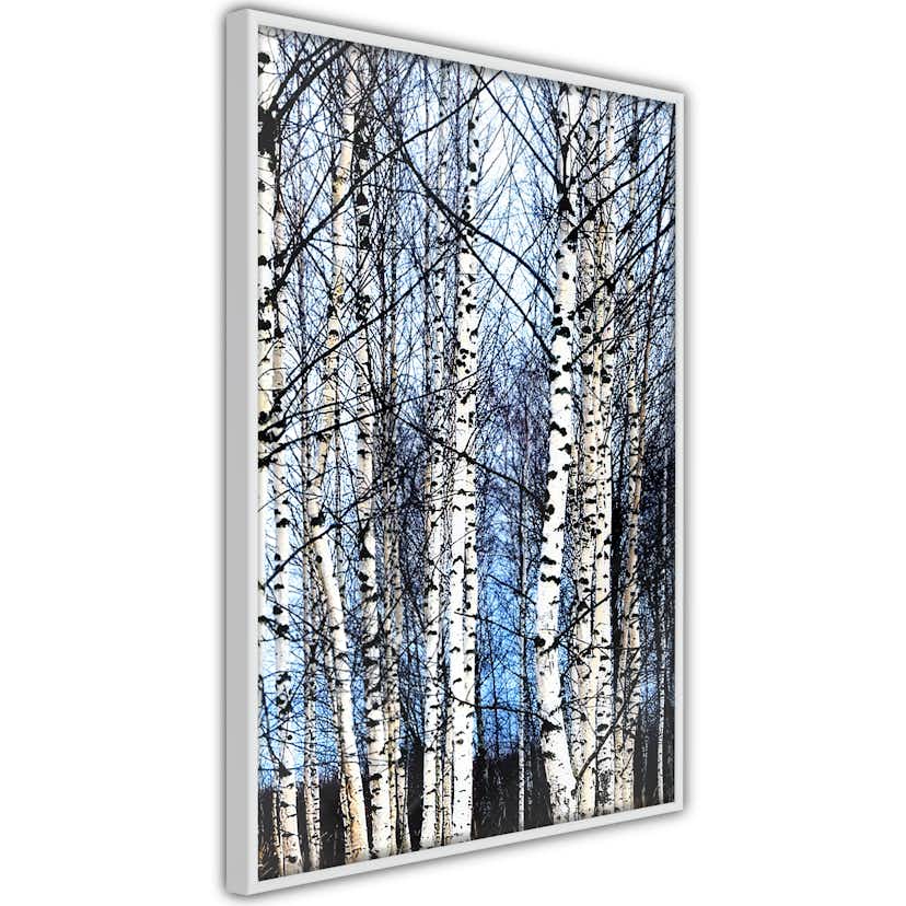 Poster Artgeist Affisch Frosty January