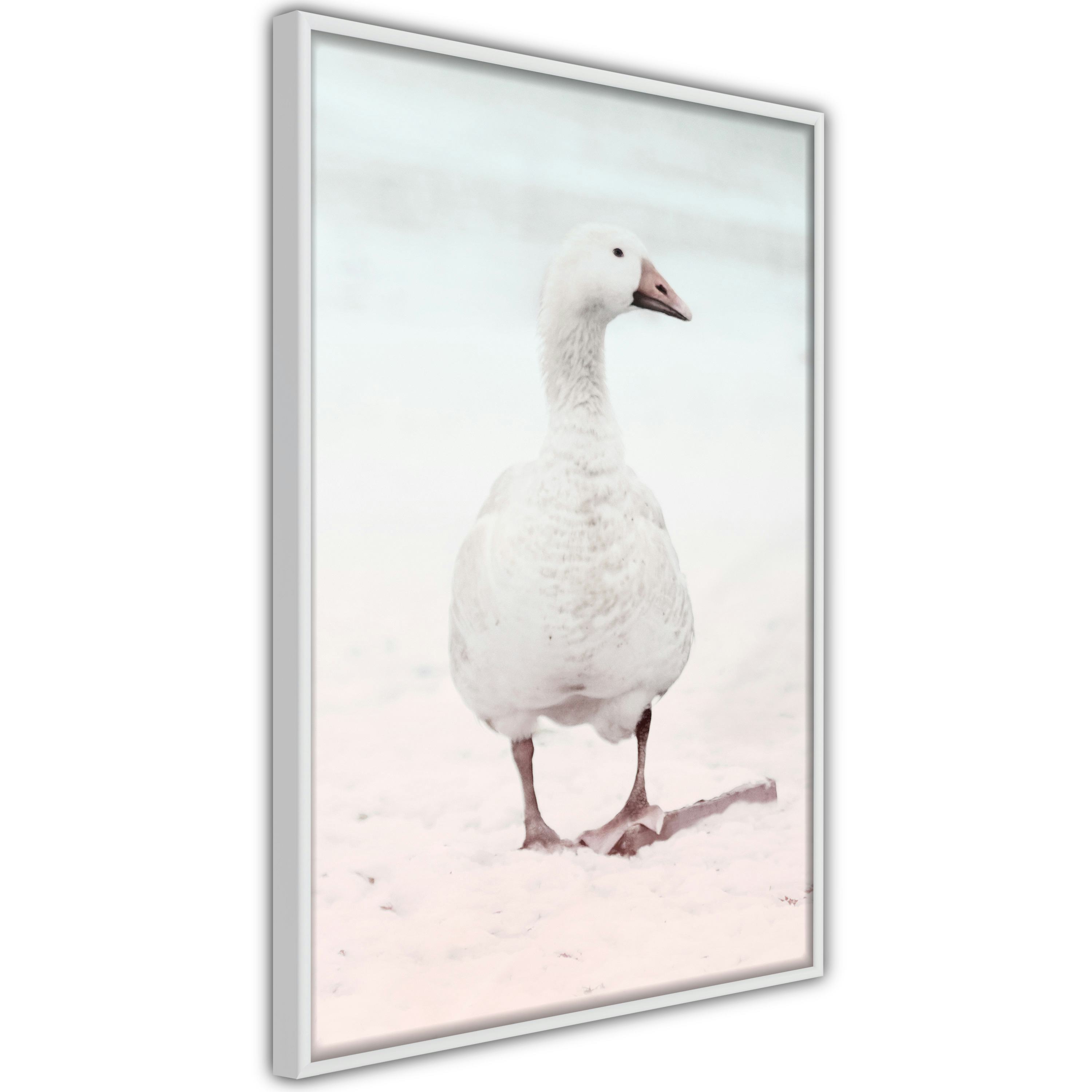 Poster Artgeist Affisch Winter Duck