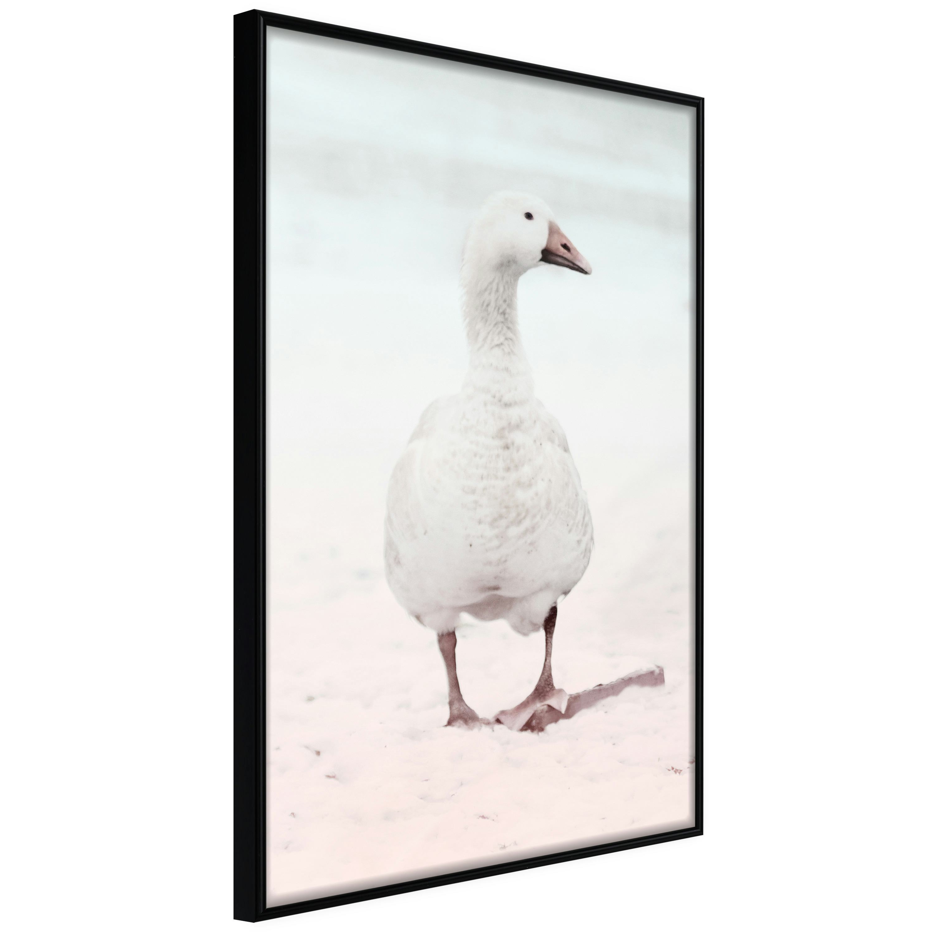Poster Artgeist Affisch Winter Duck