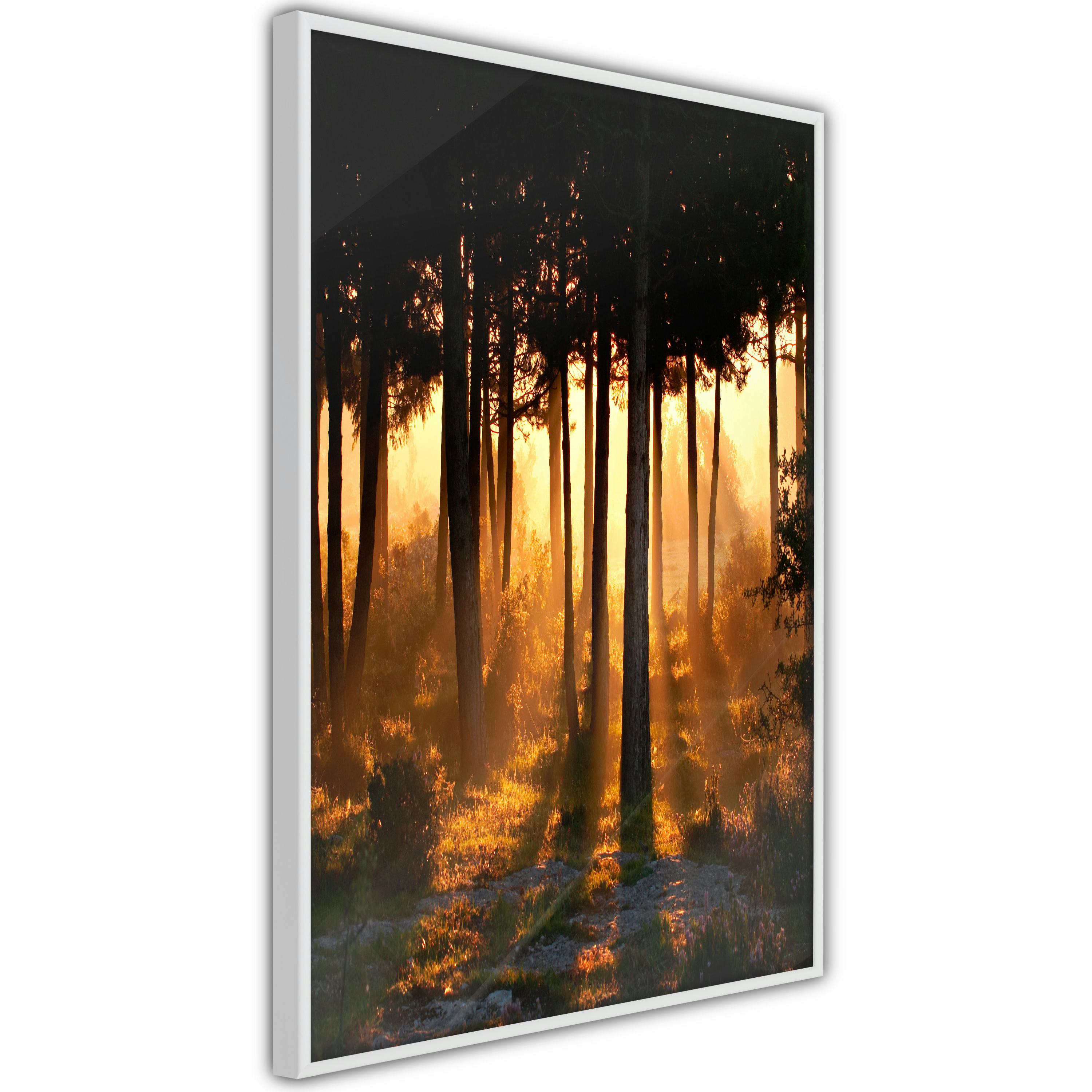 Poster Artgeist Affisch Honey Forest