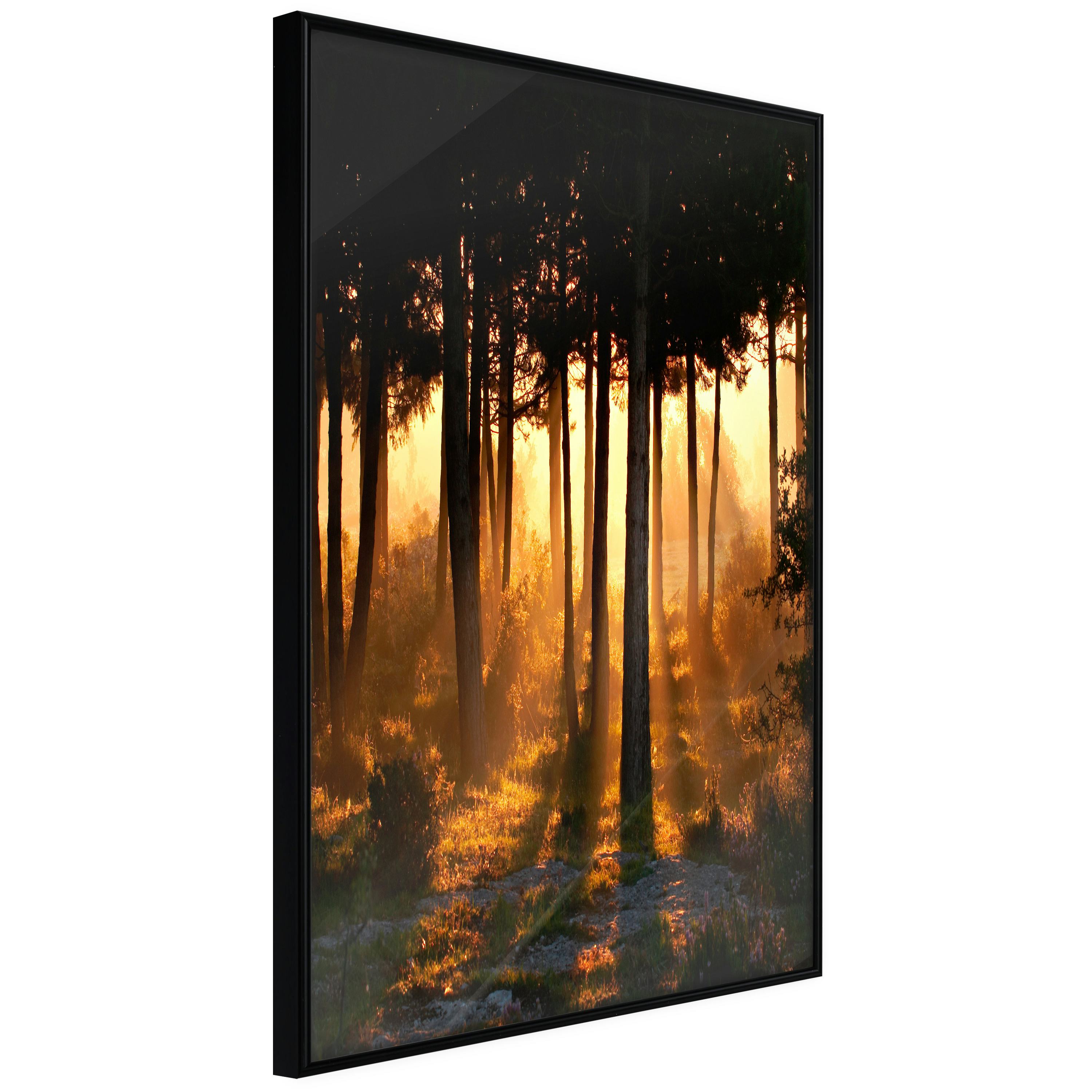Poster Artgeist Affisch Honey Forest