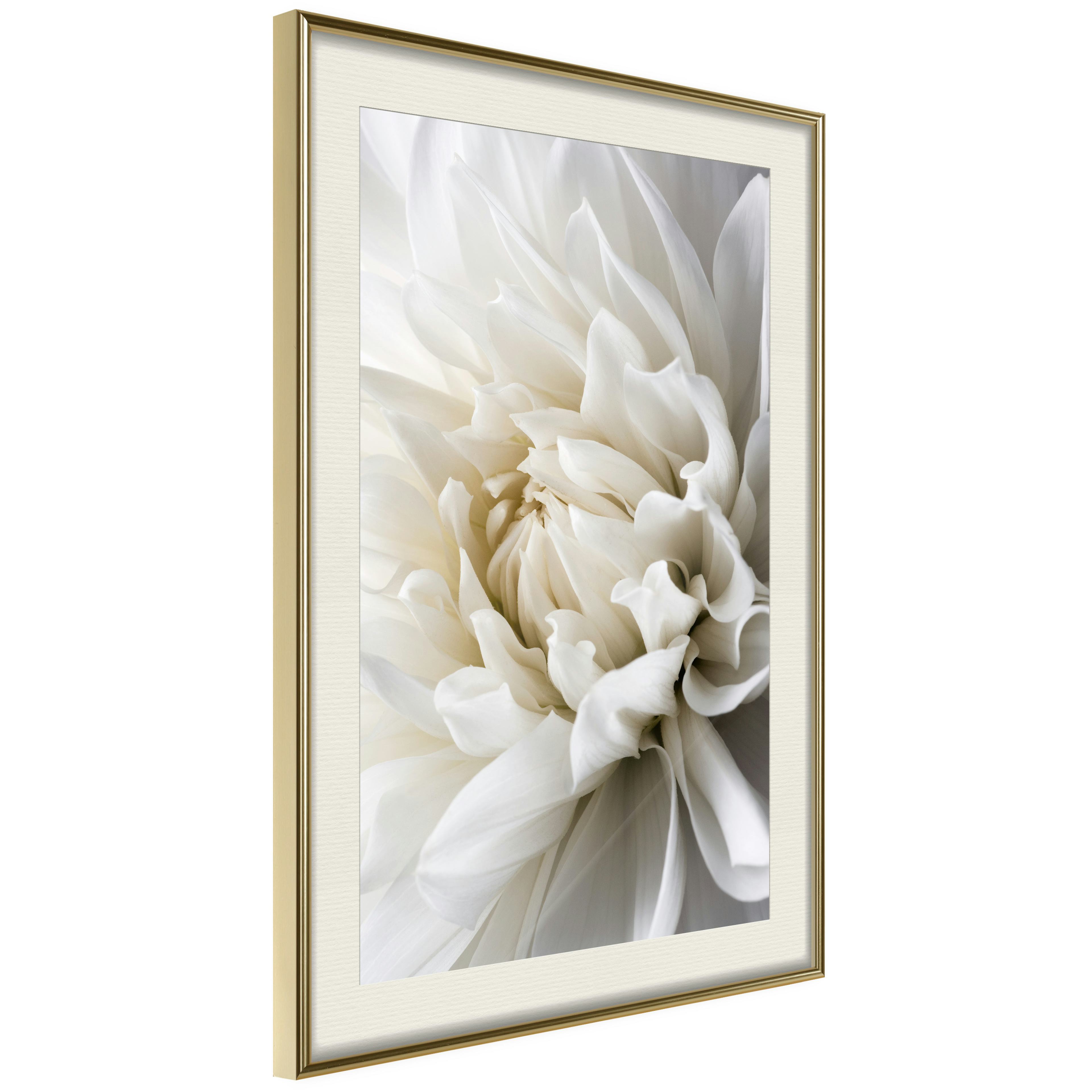 Poster Artgeist Affisch White Dahlia