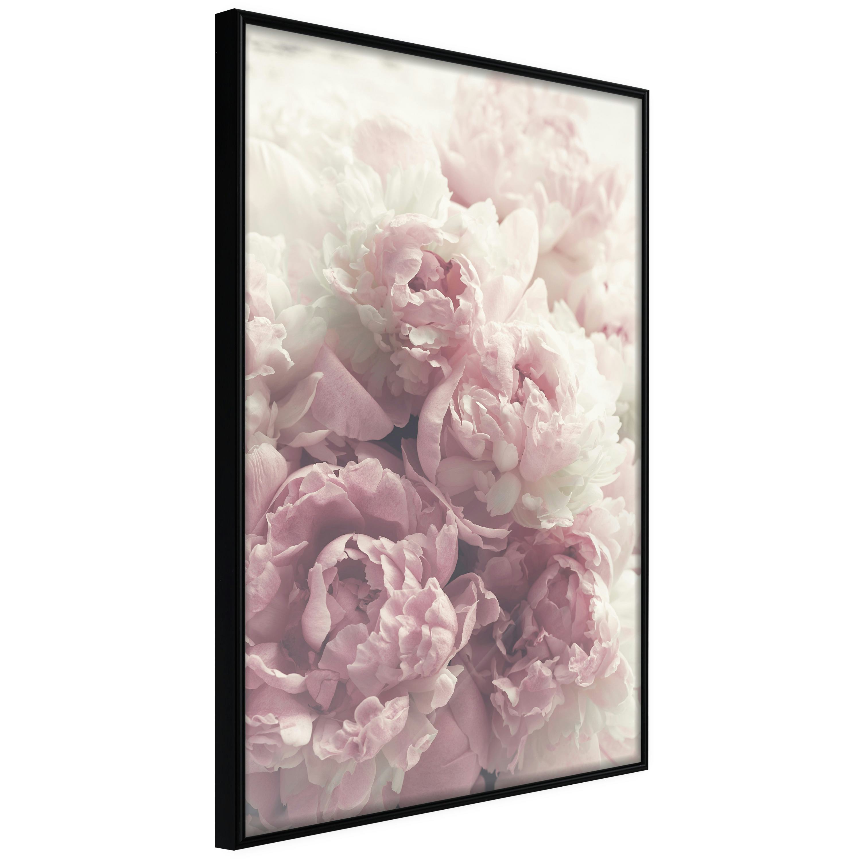 Poster Artgeist Affisch Delicate Peonies