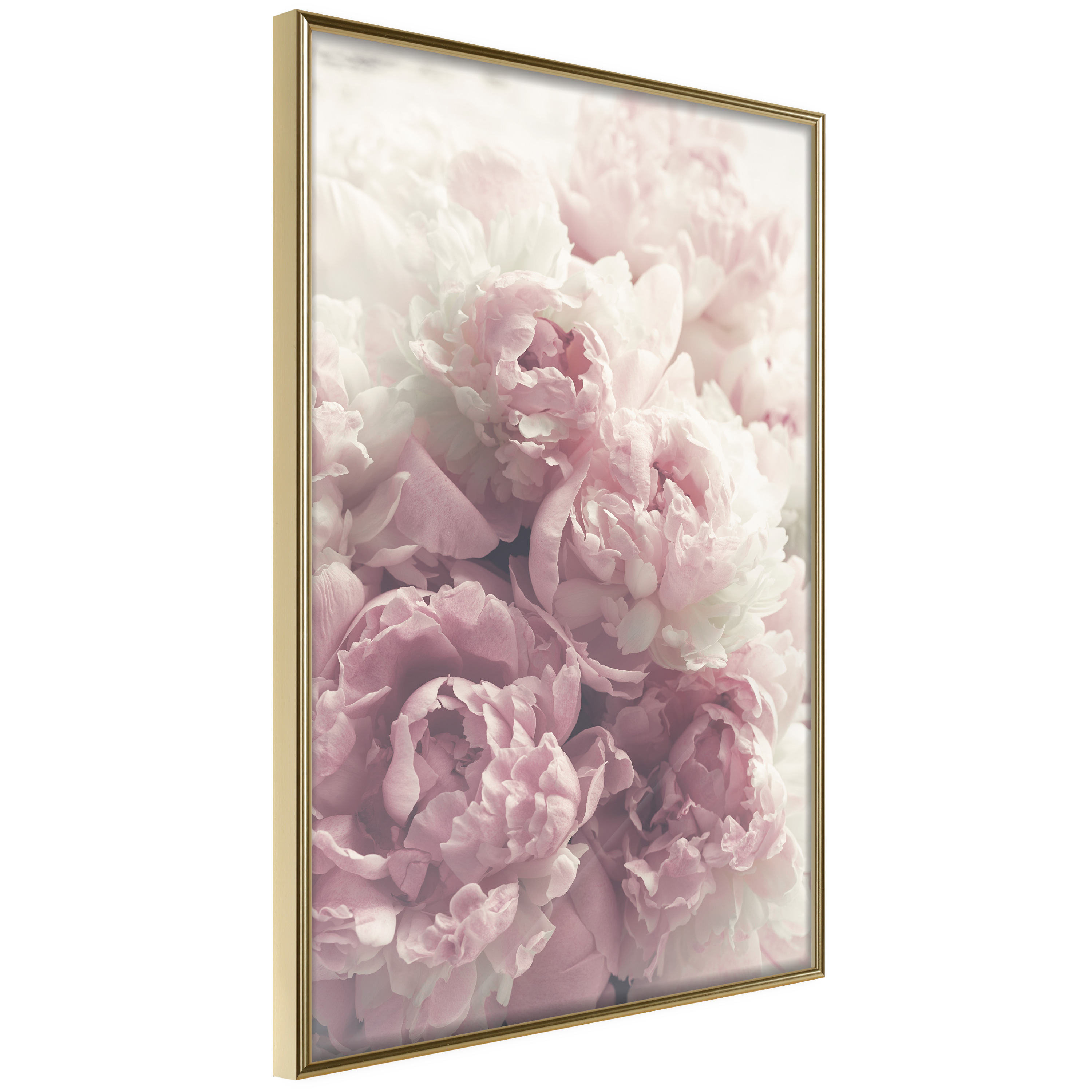 Poster Artgeist Affisch Delicate Peonies