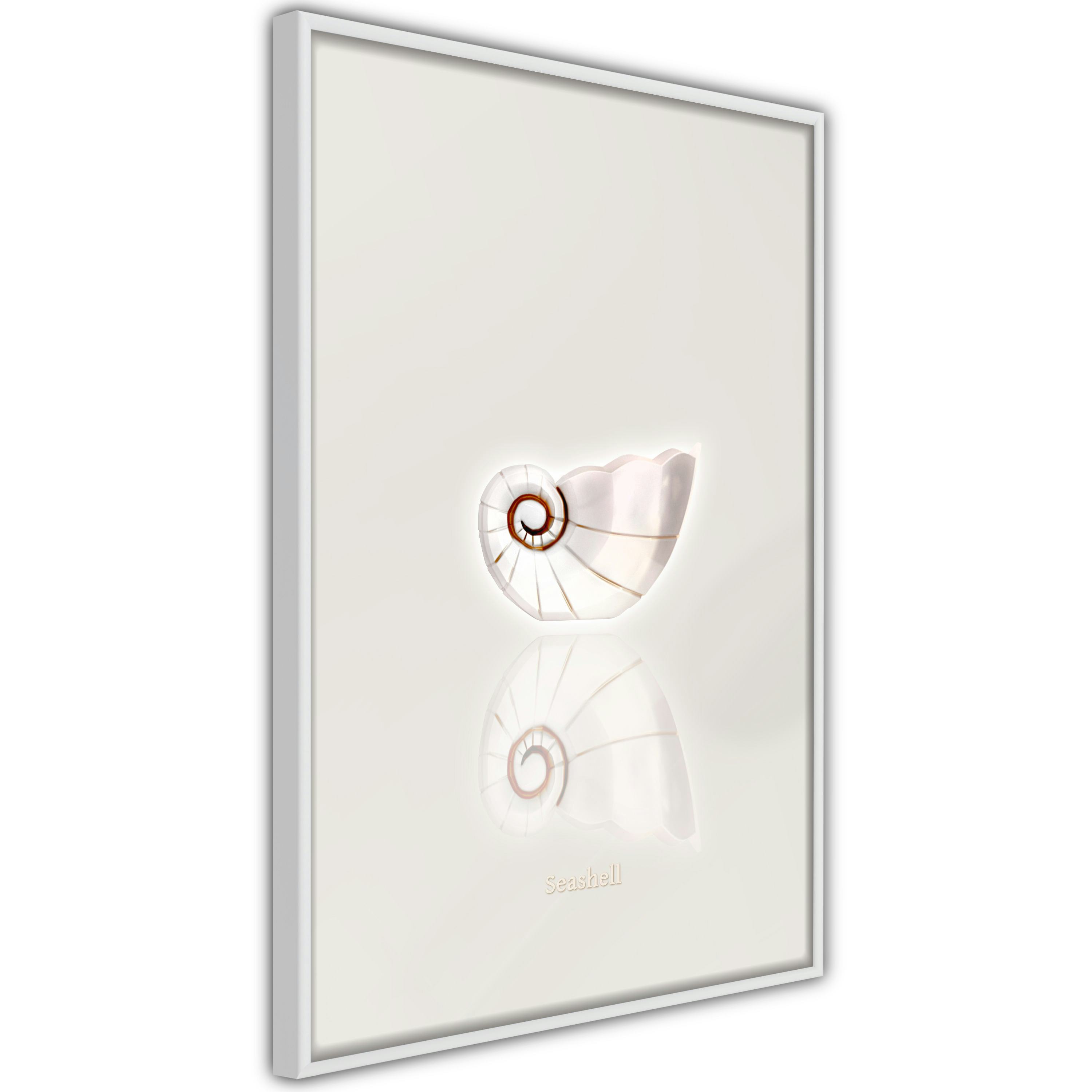 Poster Artgeist Affisch Ceramic Shell