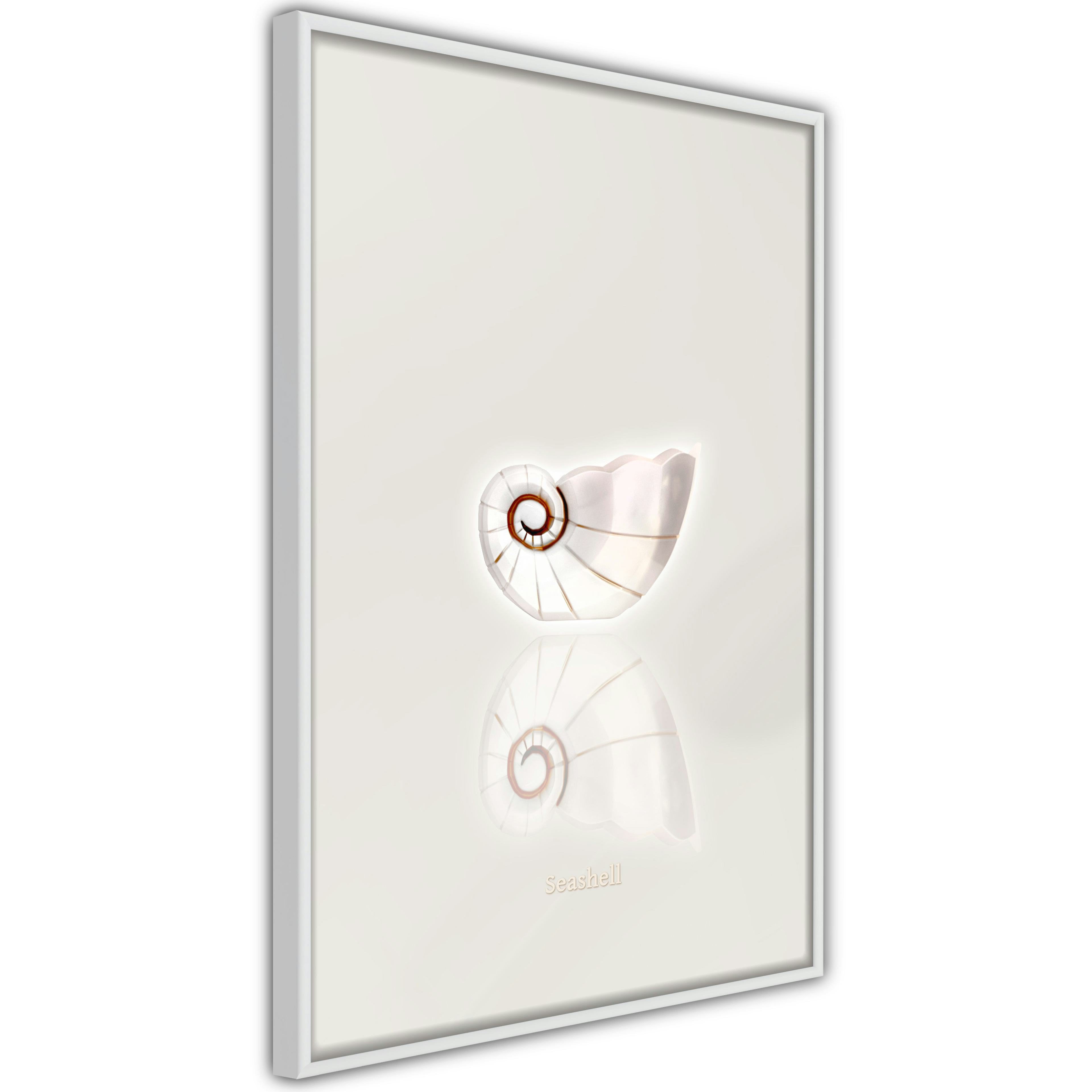 Poster Artgeist Affisch Ceramic Shell