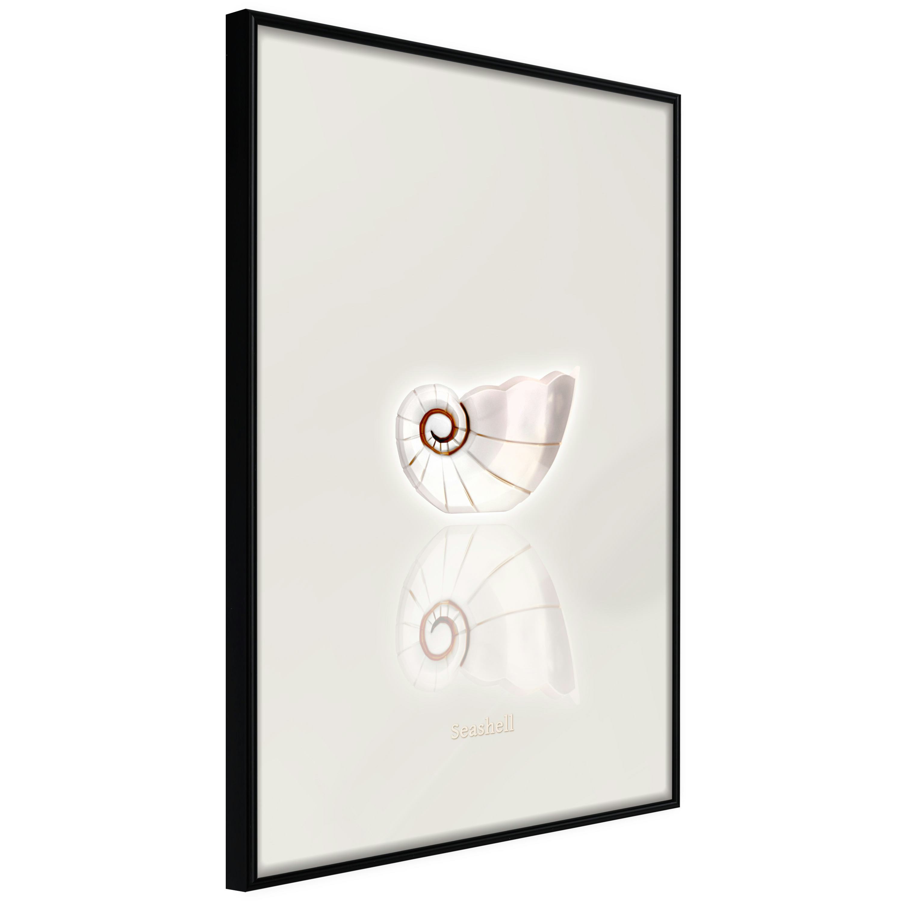 Poster Artgeist Affisch Ceramic Shell