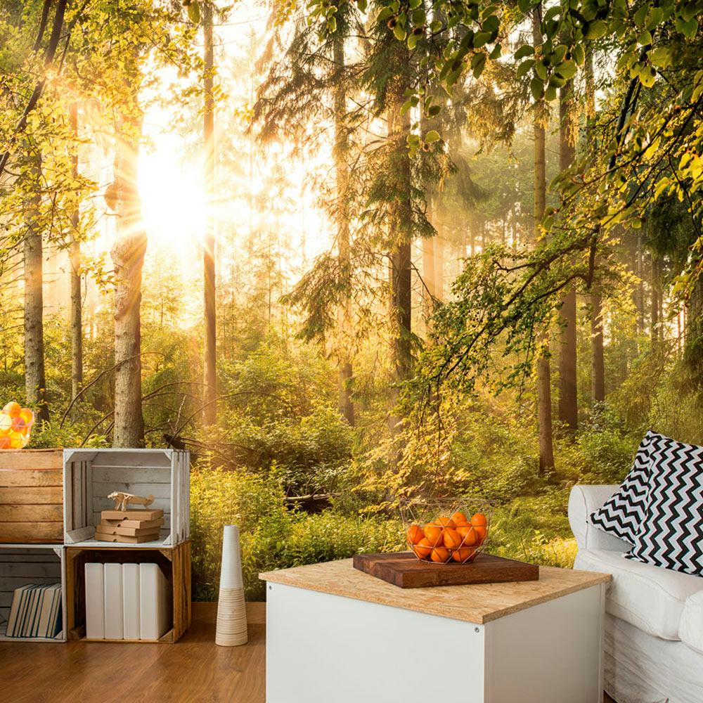 Fototapet Arkiio Självhäftande Mystic Of The Morning