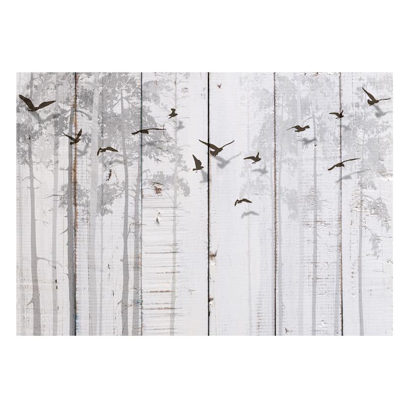 Fototapet Arkiio Birds On Boards