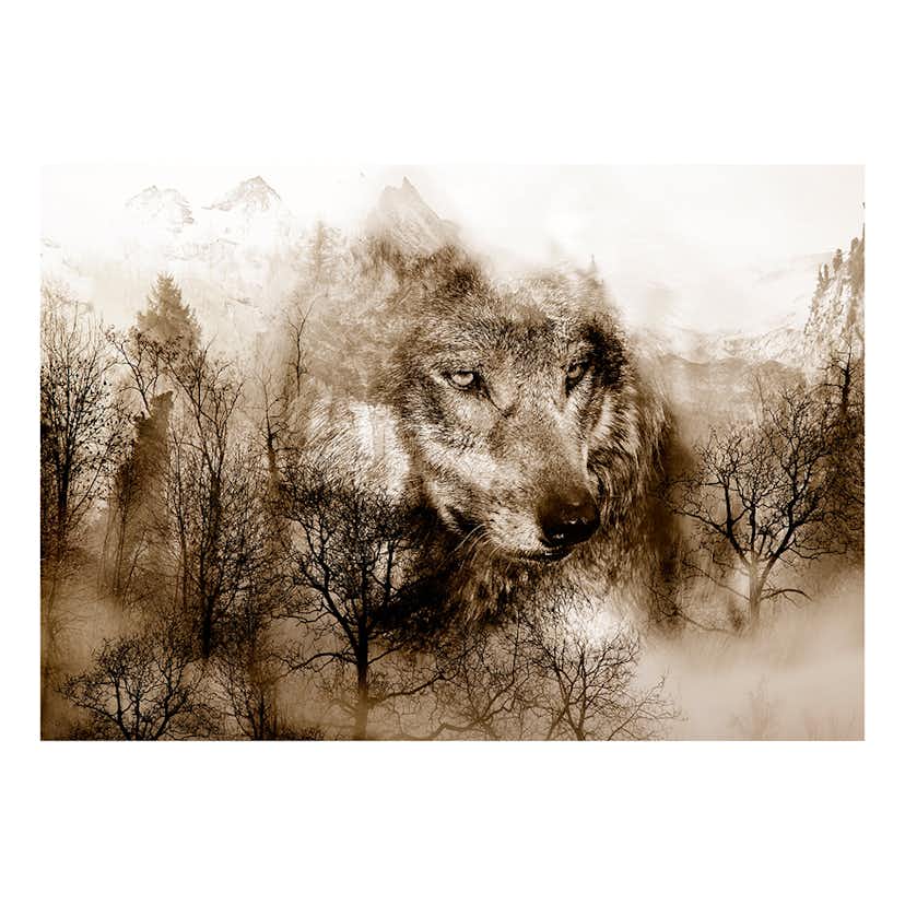 Fototapet Arkiio Mountain Predator Brown