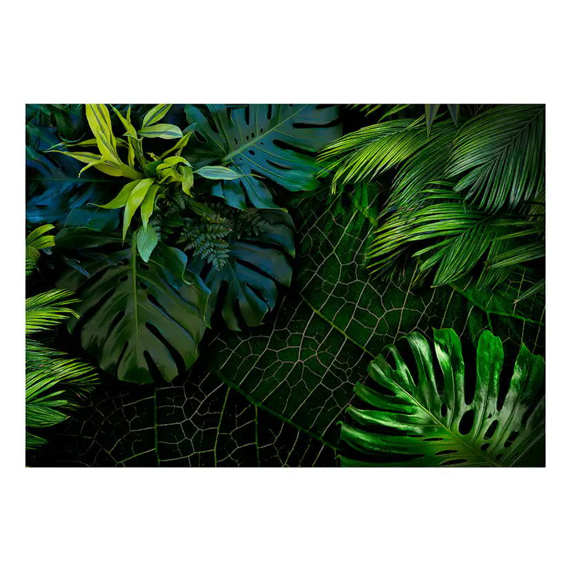 Fototapet Arkiio Dark Jungle