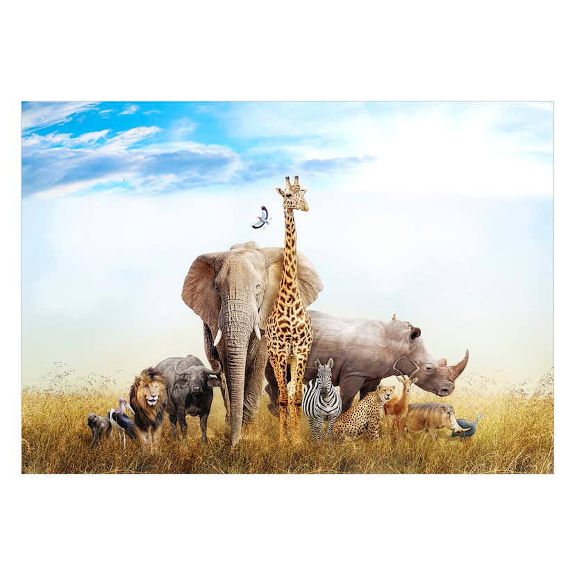 Fototapet Arkiio Fauna Of Africa