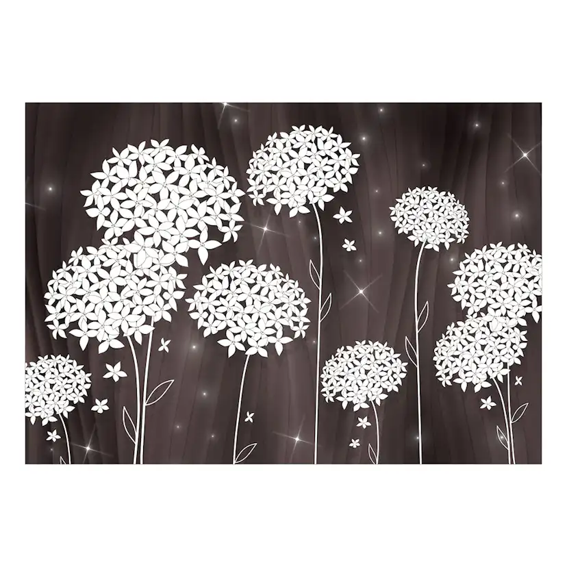 Fototapet Arkiio Magical Composition