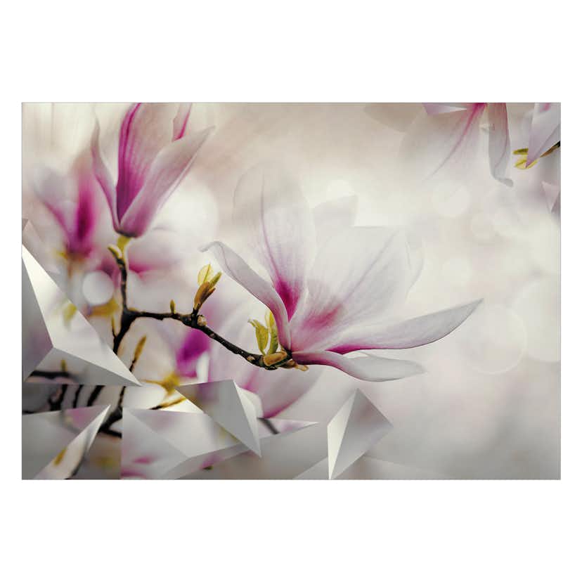 Fototapet Arkiio Subtle Magnolias Arkiio Third Variant