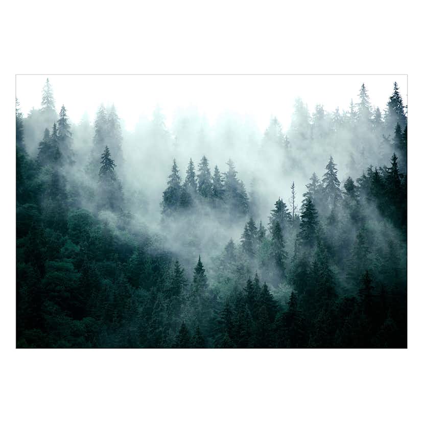 Fototapet Arkiio Mountain Forest (dark Green)
