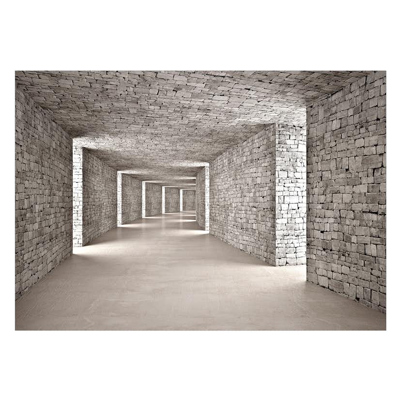 Fototapet Arkiio Mysterious Tunnel