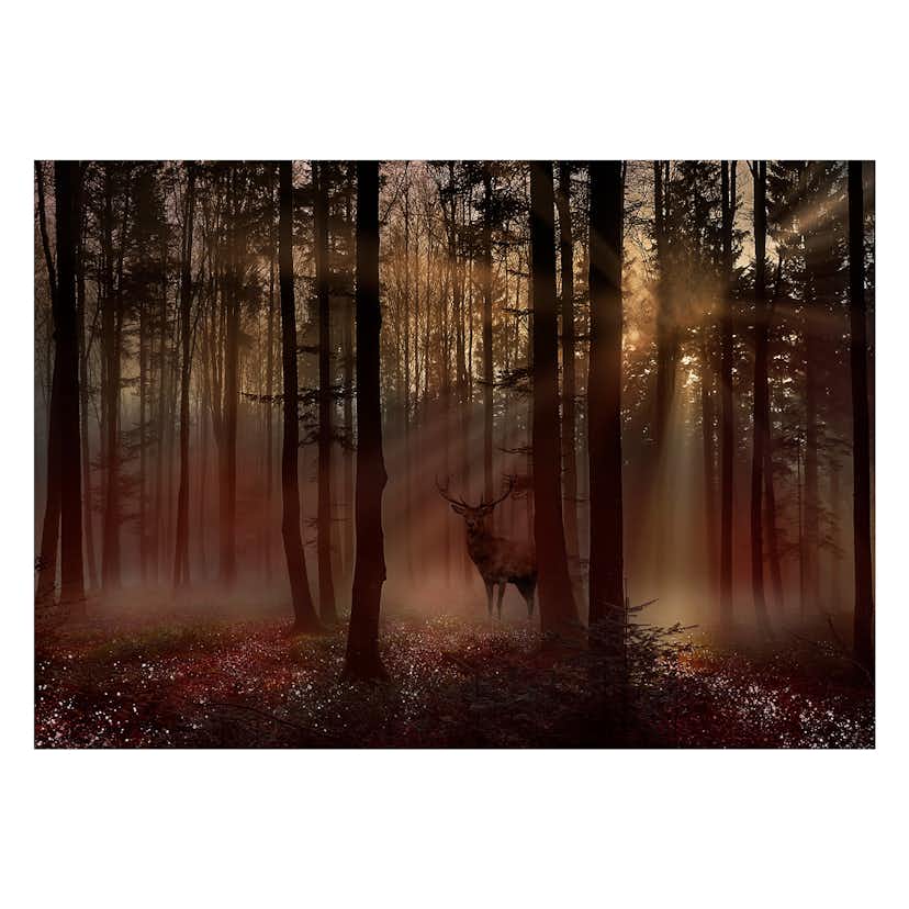 Fototapet Arkiio Mystical Forest Arkiio First Variant