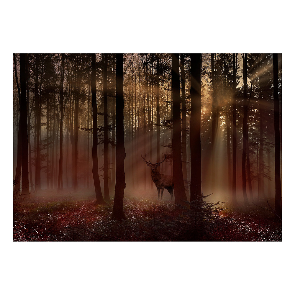 Fototapet Arkiio Mystical Forest - First Variant