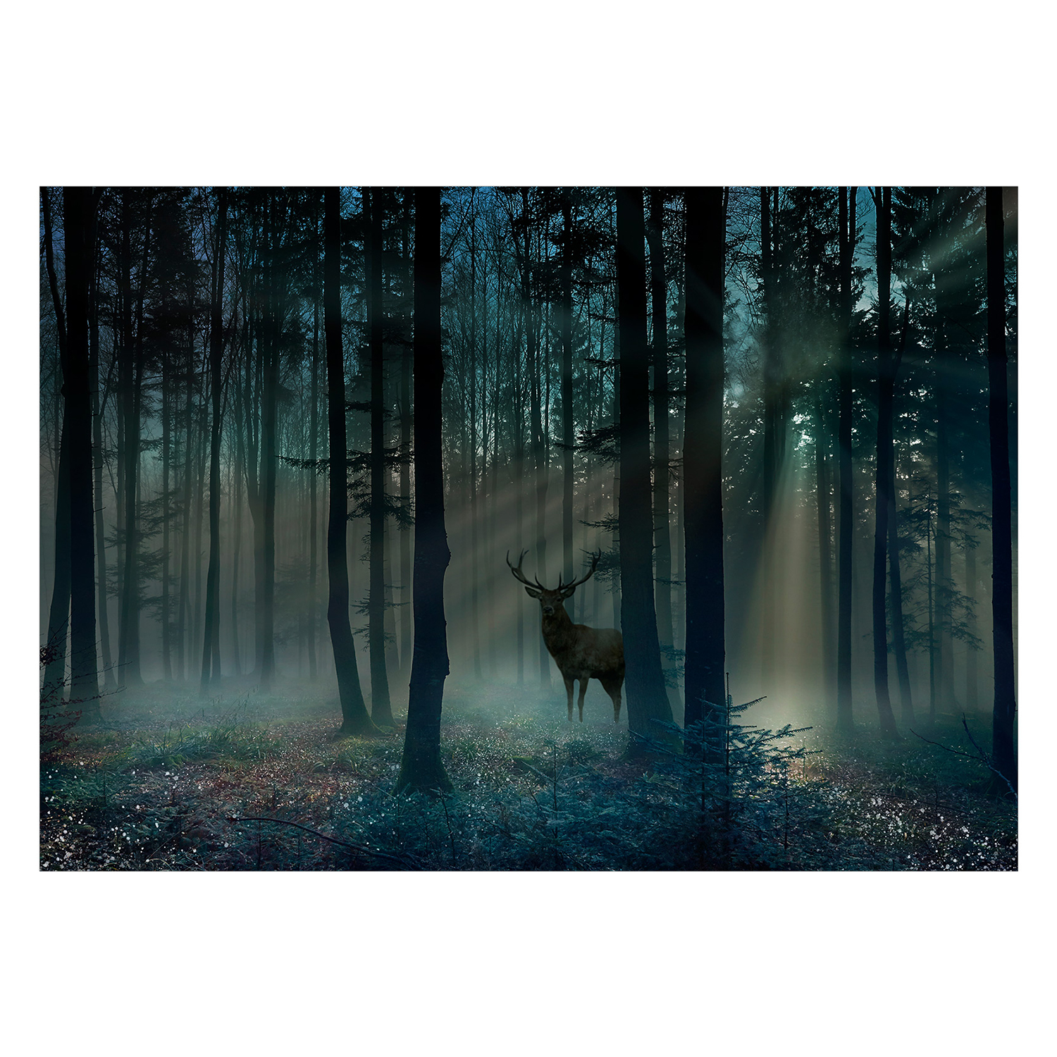 Fototapet Arkiio Mystical Forest Arkiio Third Variant