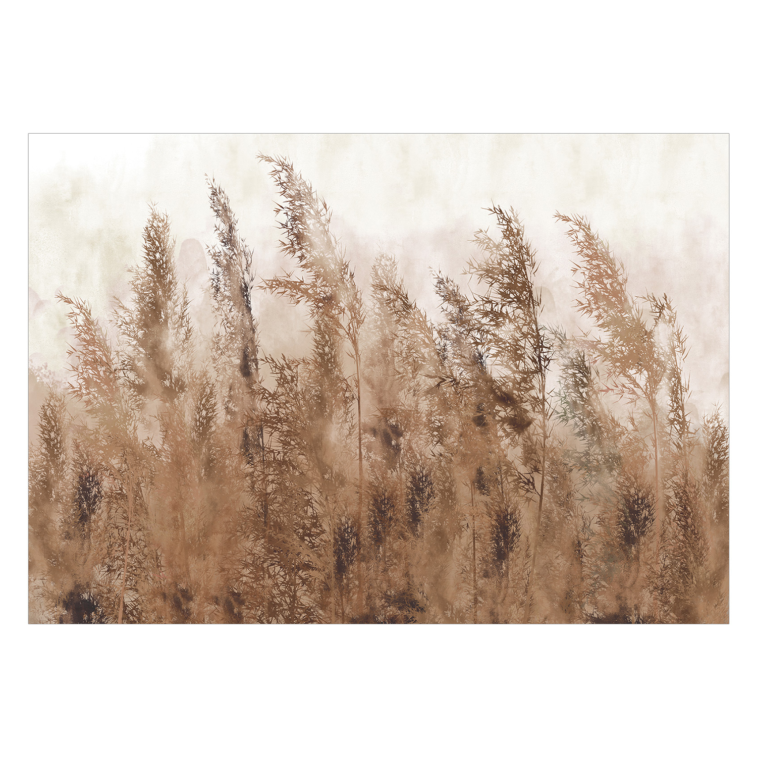 Fototapet Arkiio Tall Grasses Arkiio Brown