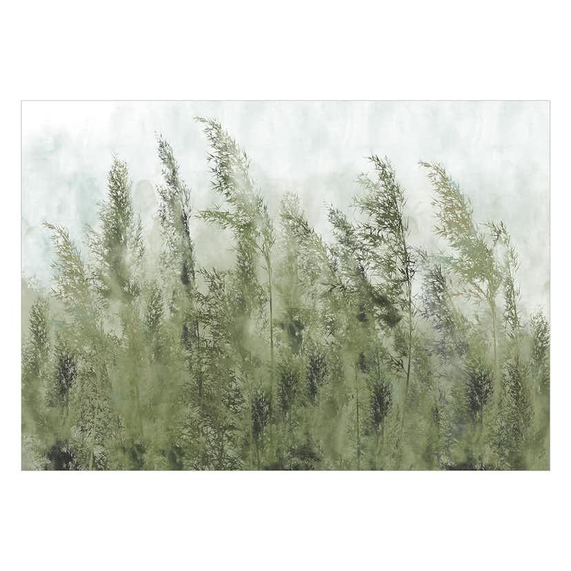 Fototapet Arkiio Tall Grasses Arkiio Green