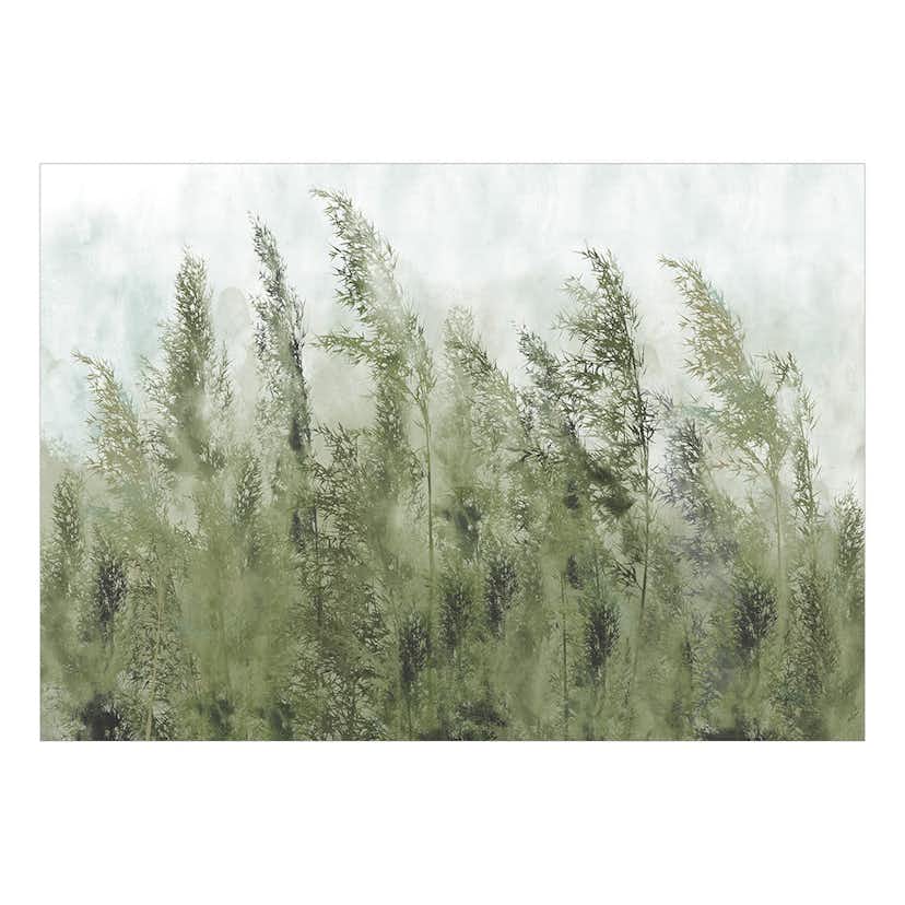 Fototapet Arkiio Tall Grasses - Green