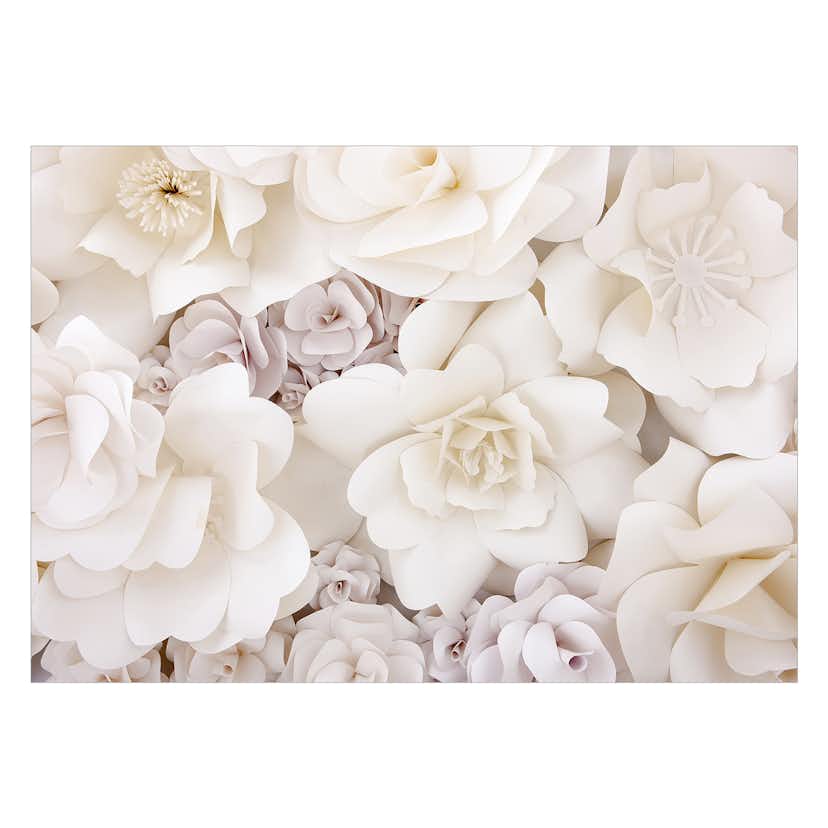 Fototapet Arkiio Floral Display