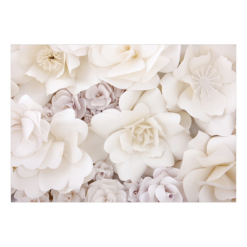 Fototapet Arkiio Floral Display