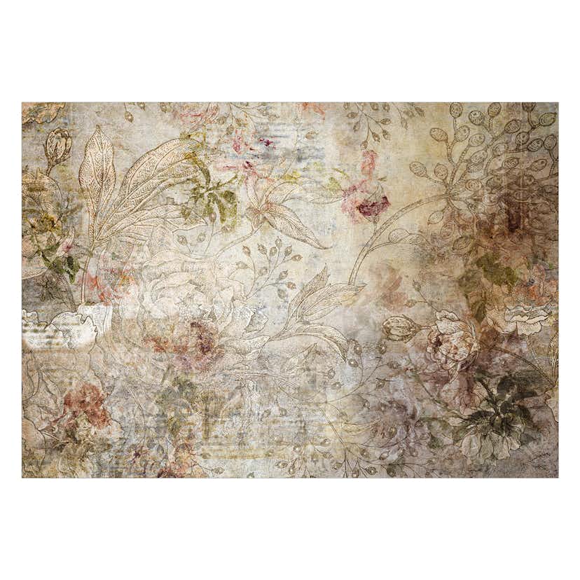 Fototapet Arkiio Old Postcard