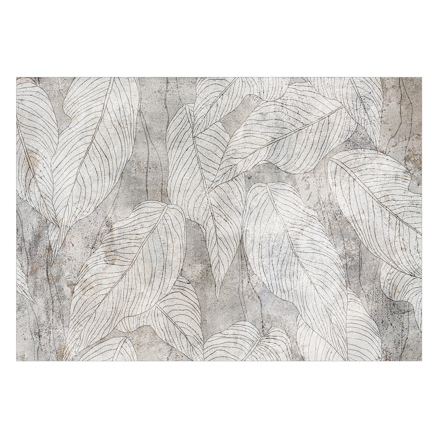 Fototapet Arkiio Shadow Full Of Sough