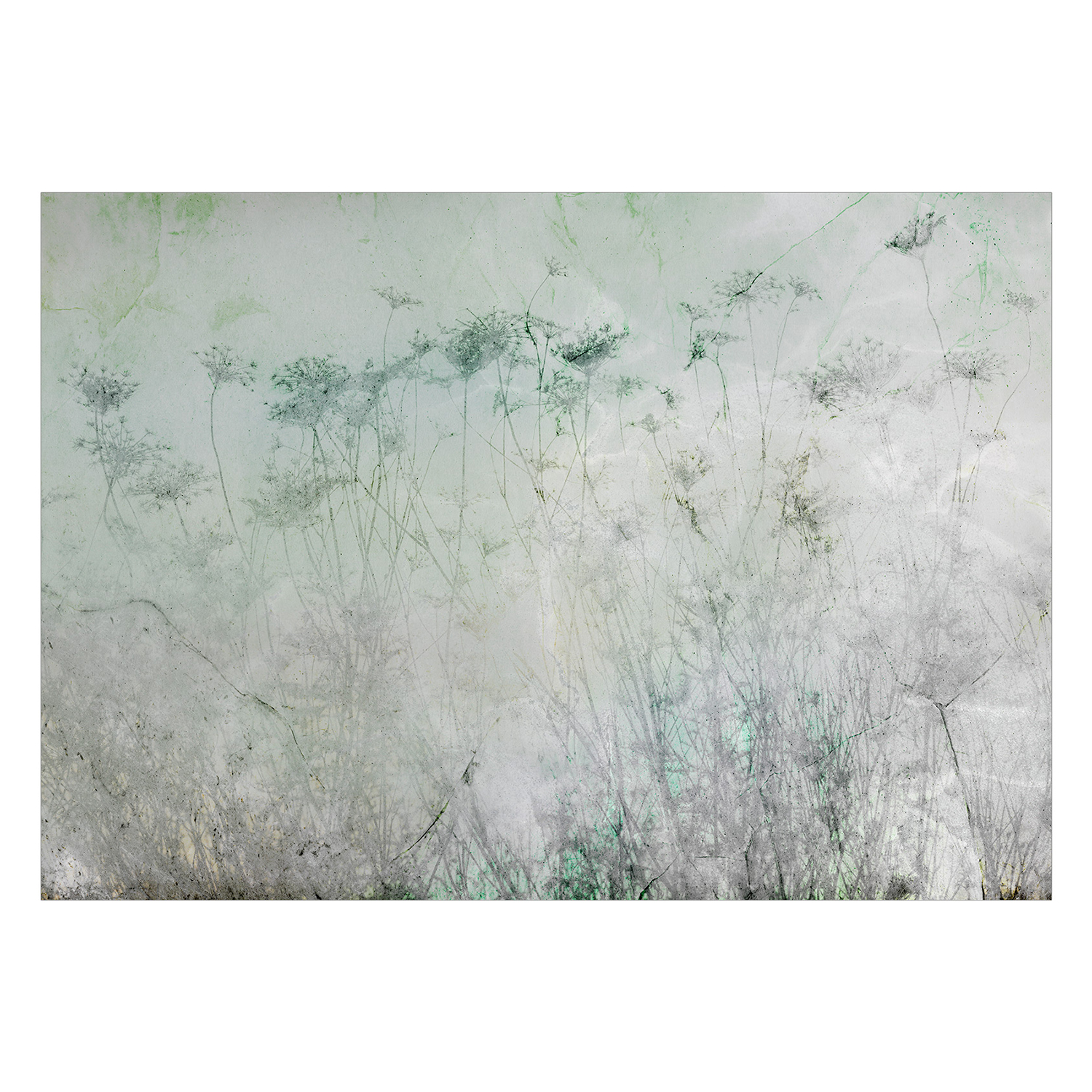 Fototapet Arkiio Indian Summer Arkiio First Variant